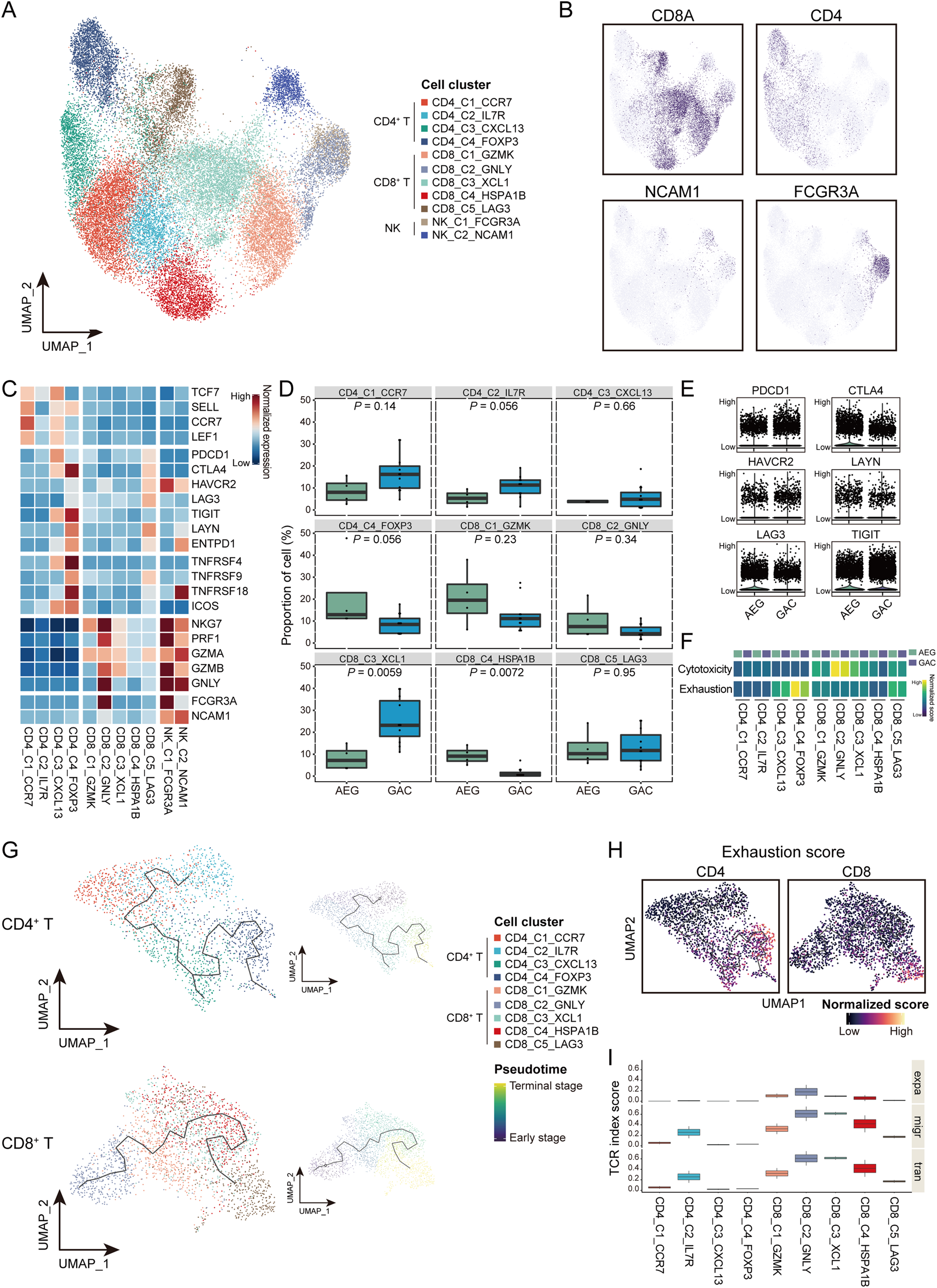 Fig. 3: The exhausted state of T cells in the tumor microenvironment of AEG.
