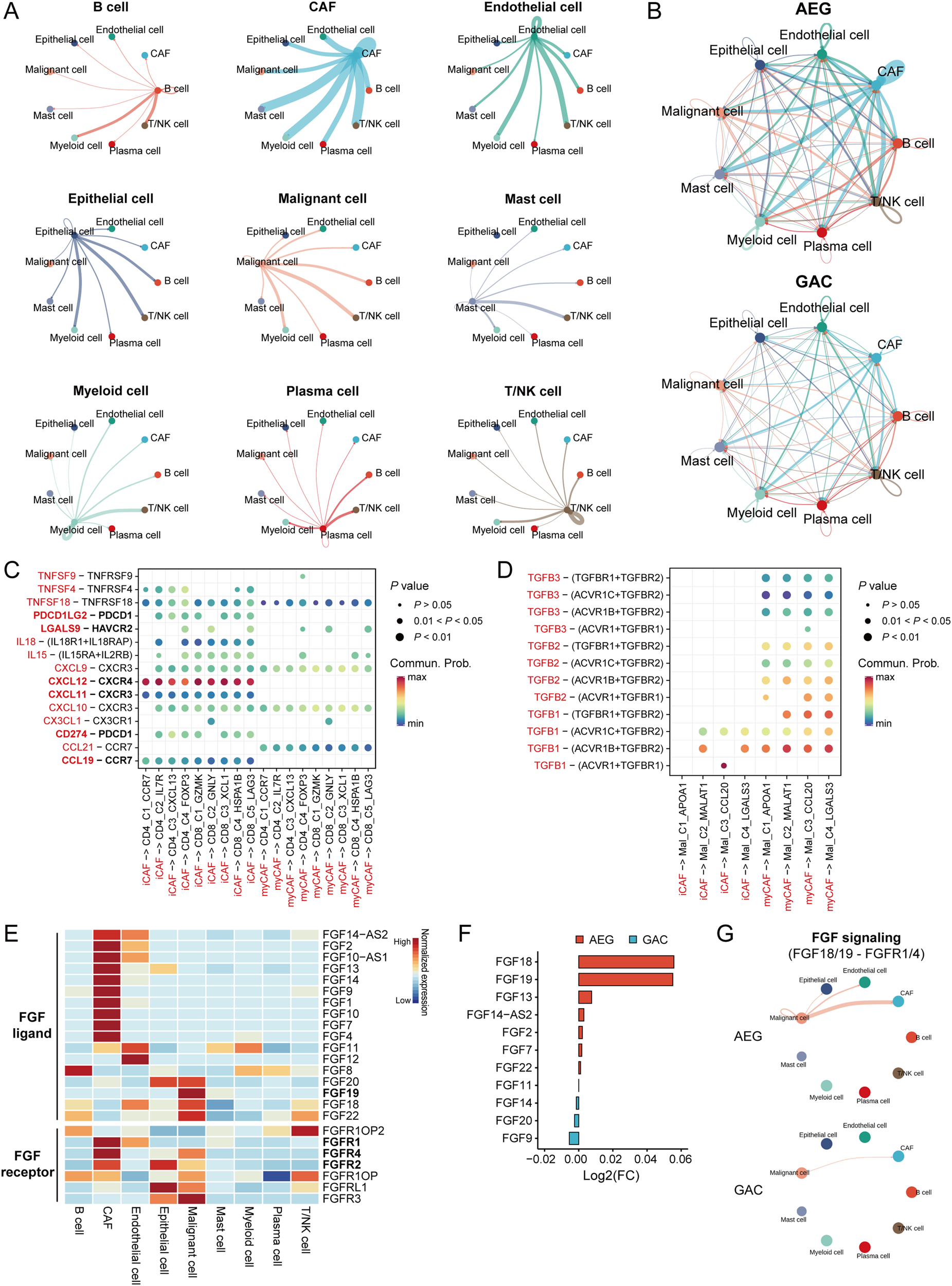 Fig. 5: The cellular interaction network of AEG TME.