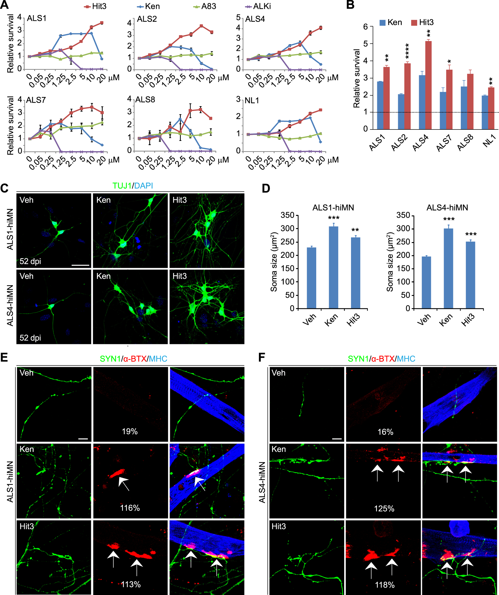 Fig. 2: Hit3 improves survival and function of hiMNs from diverse human patients.