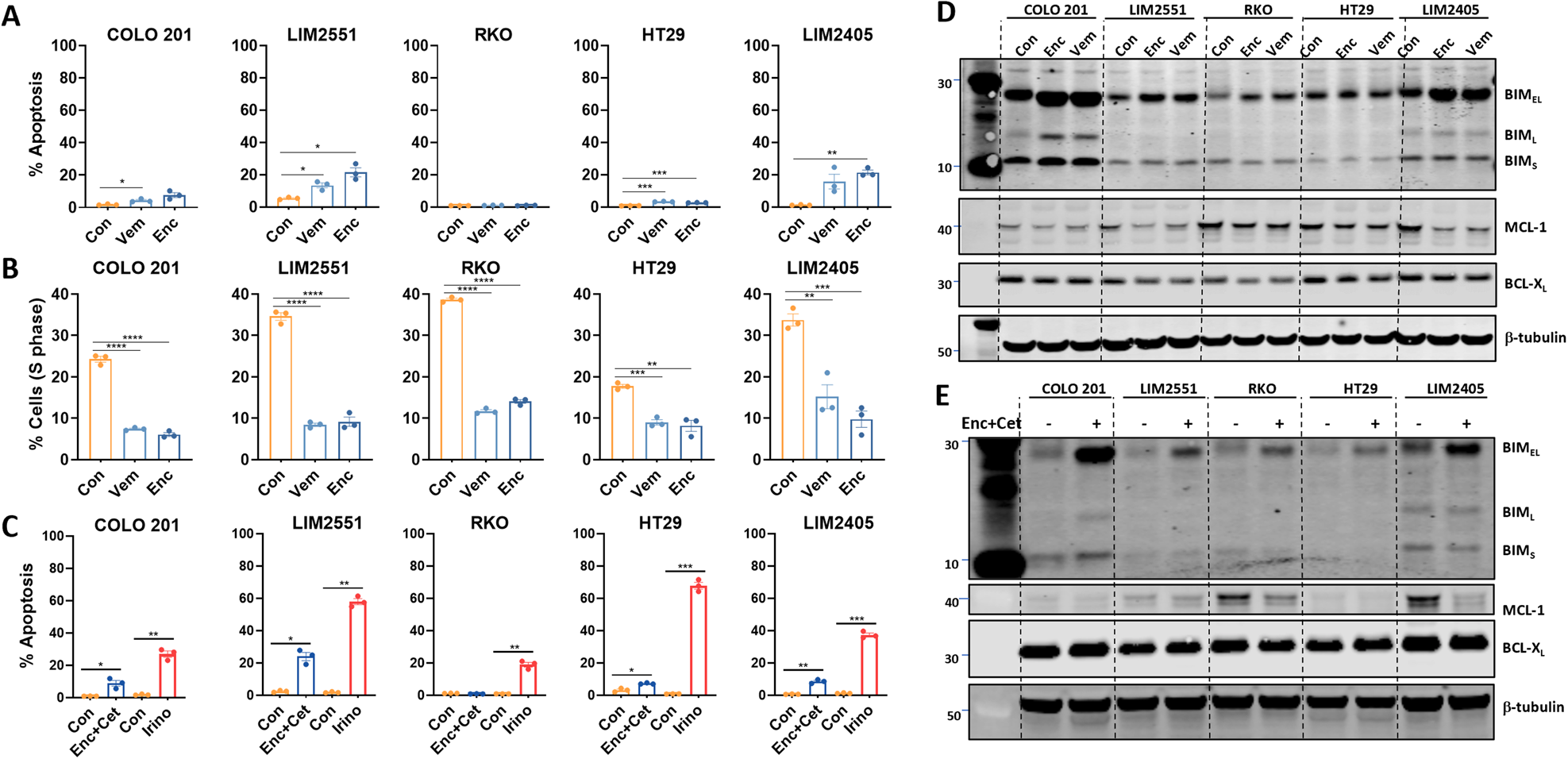 Fig. 1: BRAF inhibitors induce predominantly cytostatic effects in BRAFV600E CRC cell lines.