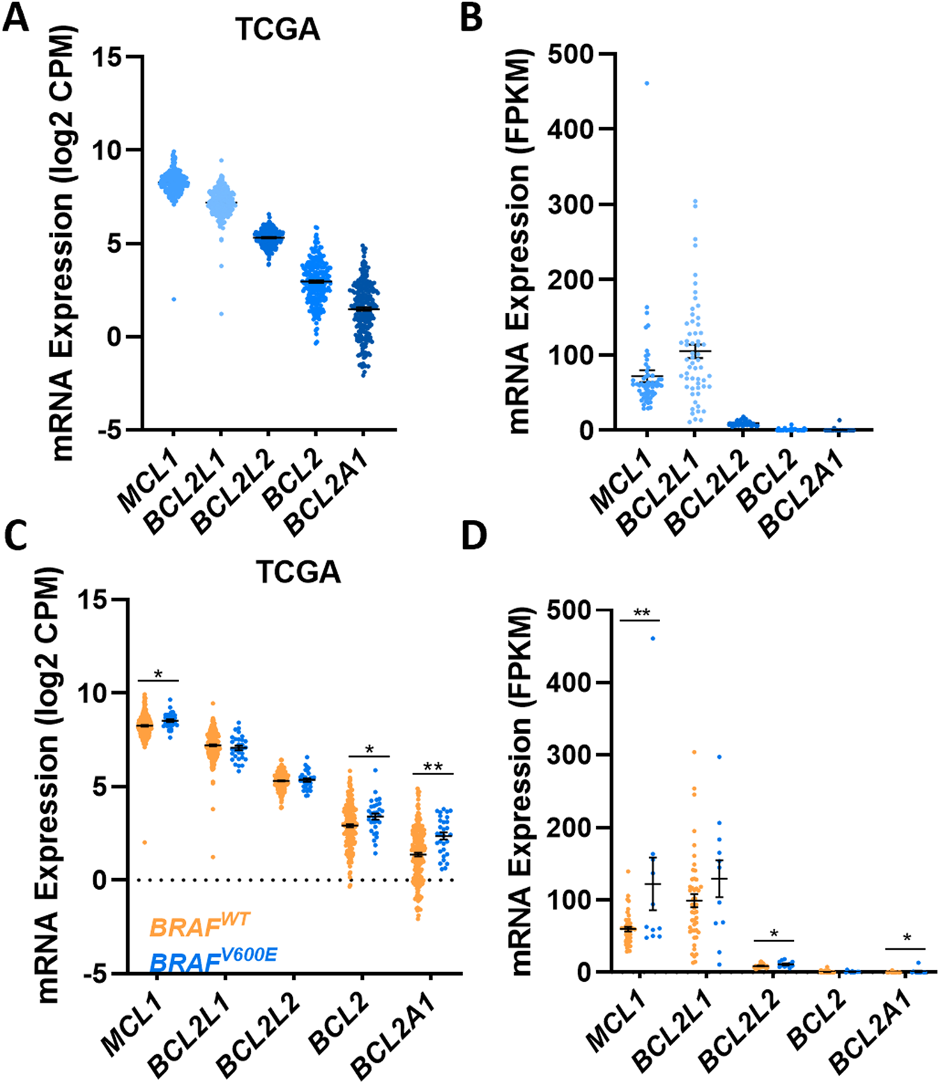 Fig. 2: CRCs express high basal expression of BCL-XL and MCL-1.