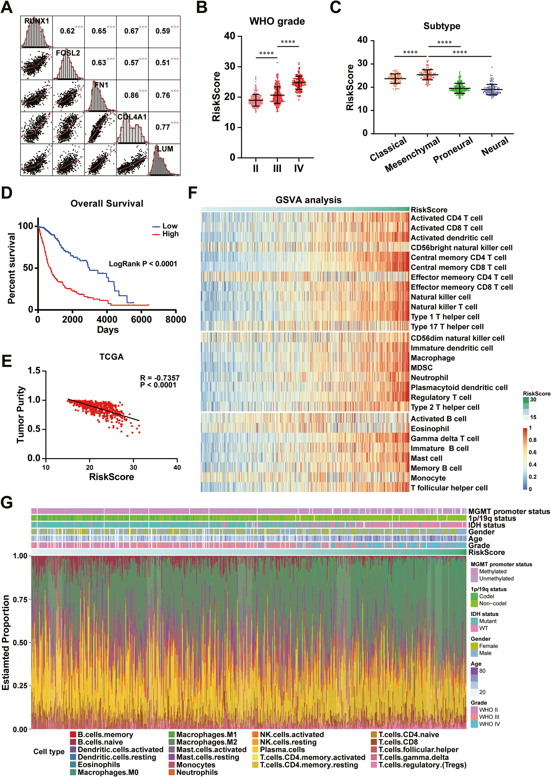 Fig. 5: RUNX1, FOSL2, and ECM gene expression-based novel signature model correlating with tumor malignancy, survival time, and immunosuppressive microenvironment in GBM.