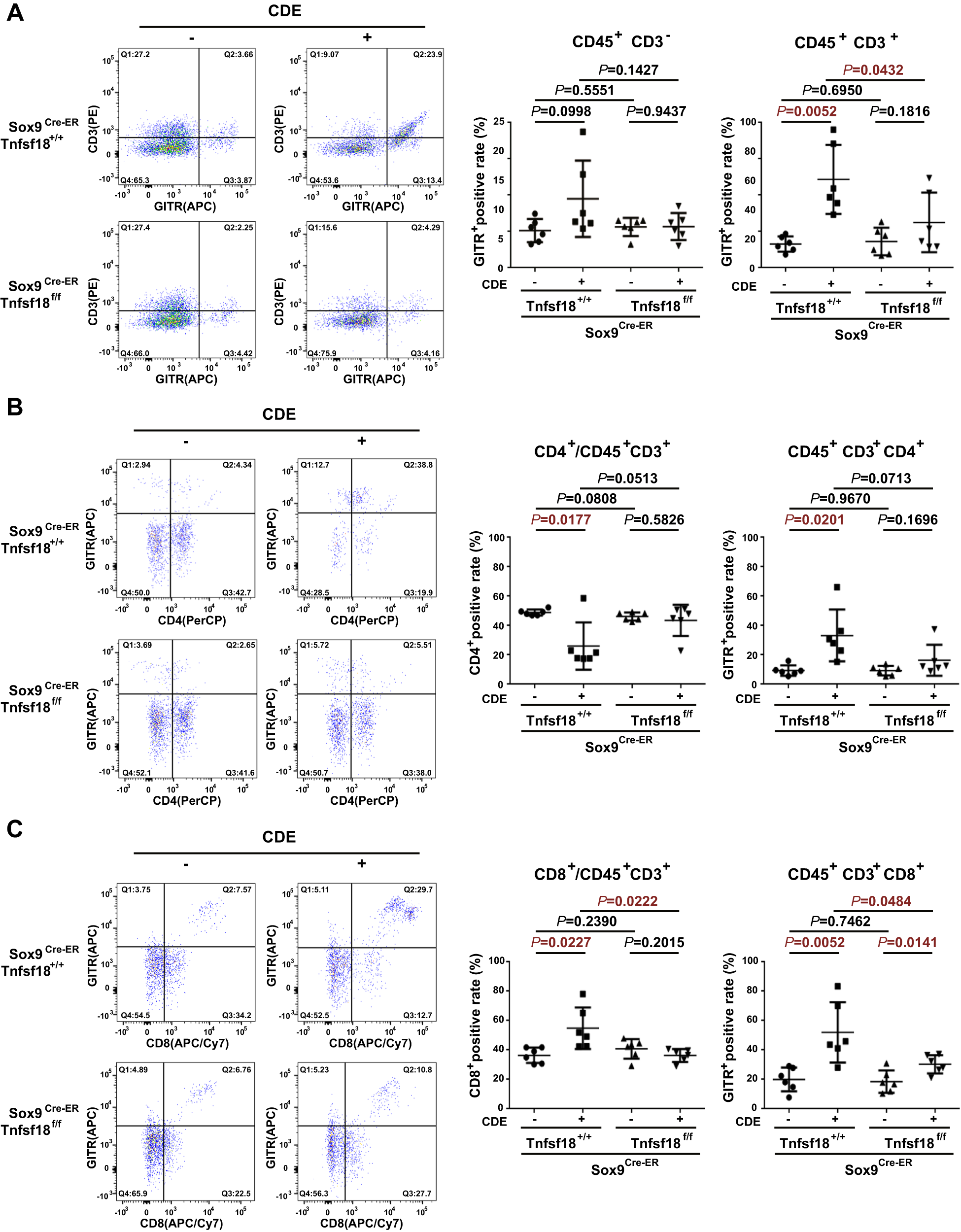 Fig. 4: GITRL depletion in liver progenitor cells decreased the proportions of CD8+ lymphocytes and GITR+CD8+ lymphocytes.