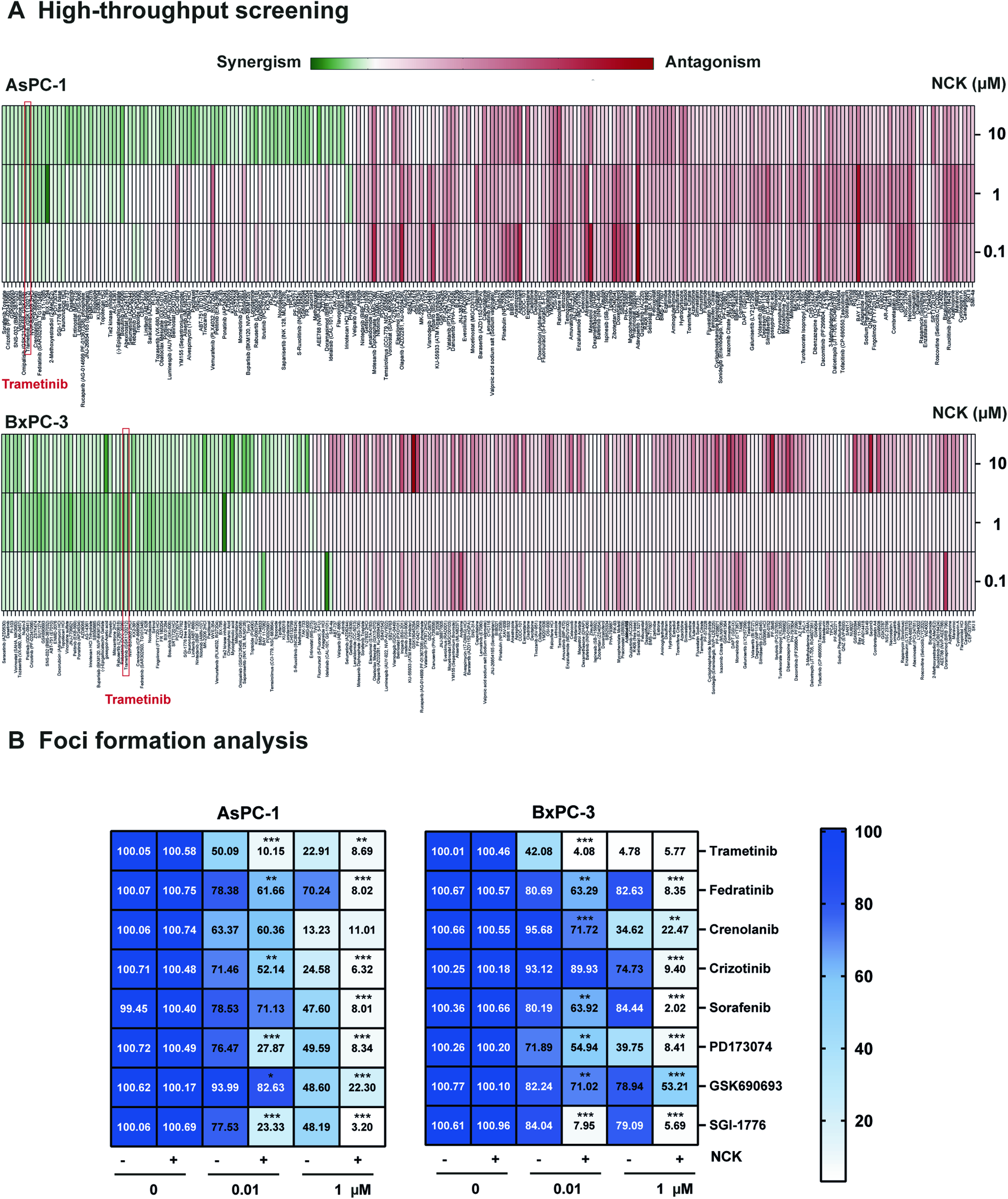 Fig. 3: High-throughput drug screening demonstrates that Trametinib synergizes with NCK in AsPC-1 and BxPC-3 cell lines.
