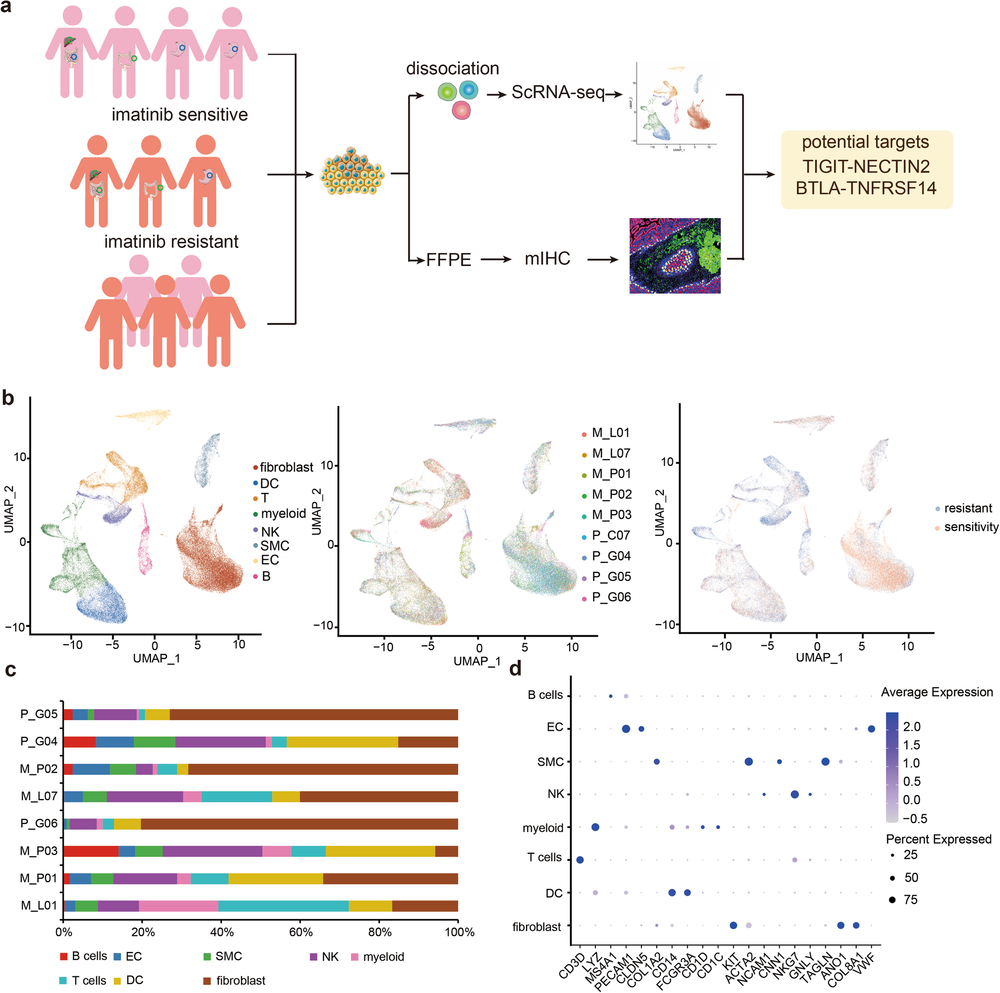 Fig. 1: Single-cell transcriptome analysis of human GIST TME.