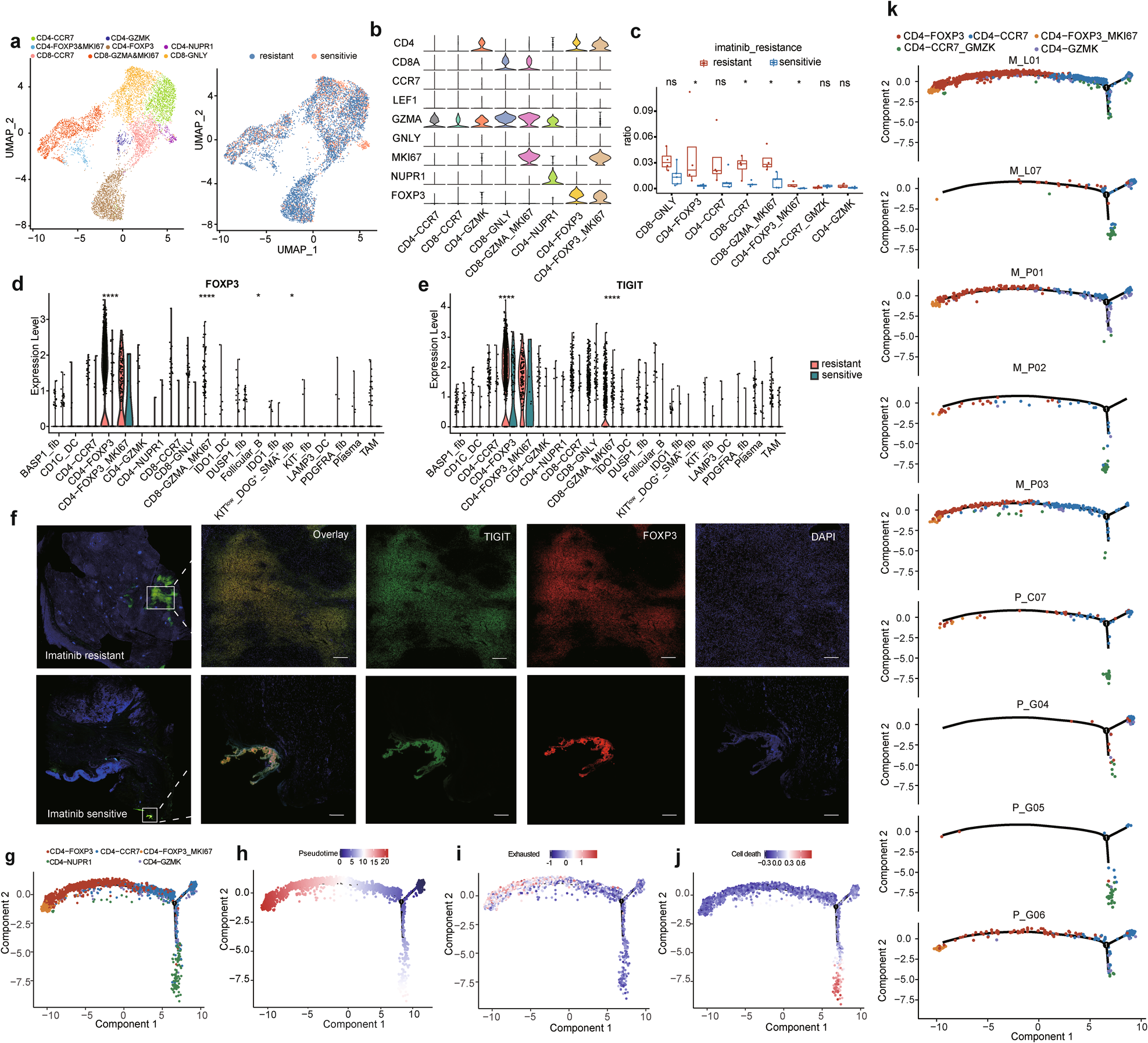 Fig. 4: The heterogeneity within the T cells.