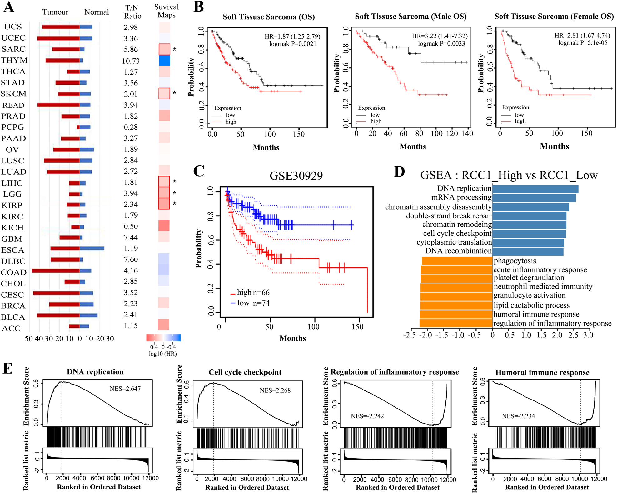 Fig. 1: The upregulation of RCC1 is correlated with poor prognosis of STS patients.