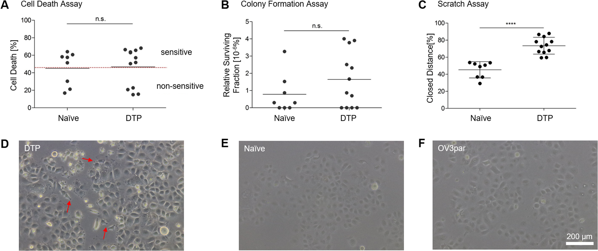 Fig. 1: Phenotypic alterations distinguish drug tolerant persister cells (DTPs) from treatment-naïve cells.