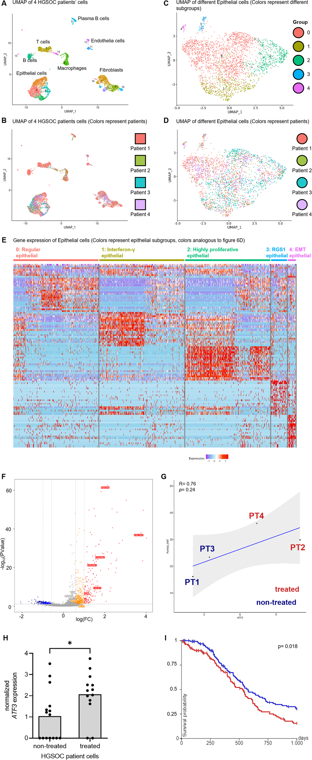 Fig. 6: Single-cell RNA-seq of HGSOC patient cells identifies five distinct EPCAM + cell subpopulations and reveals a subgroup that closely mimics DTP.