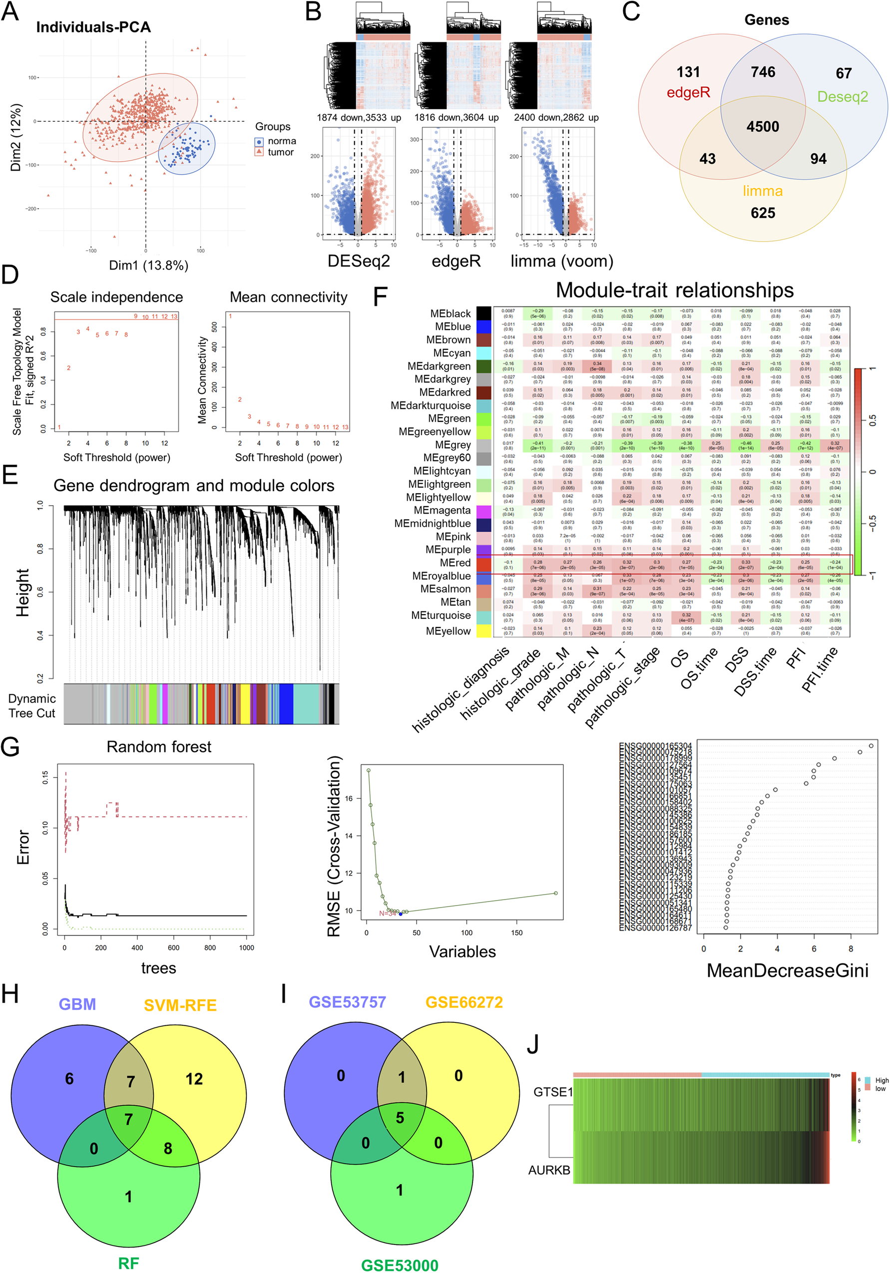Fig. 1: Bioinformatics databases identified AURKB as a novel prognostic key gene for ccRCC.