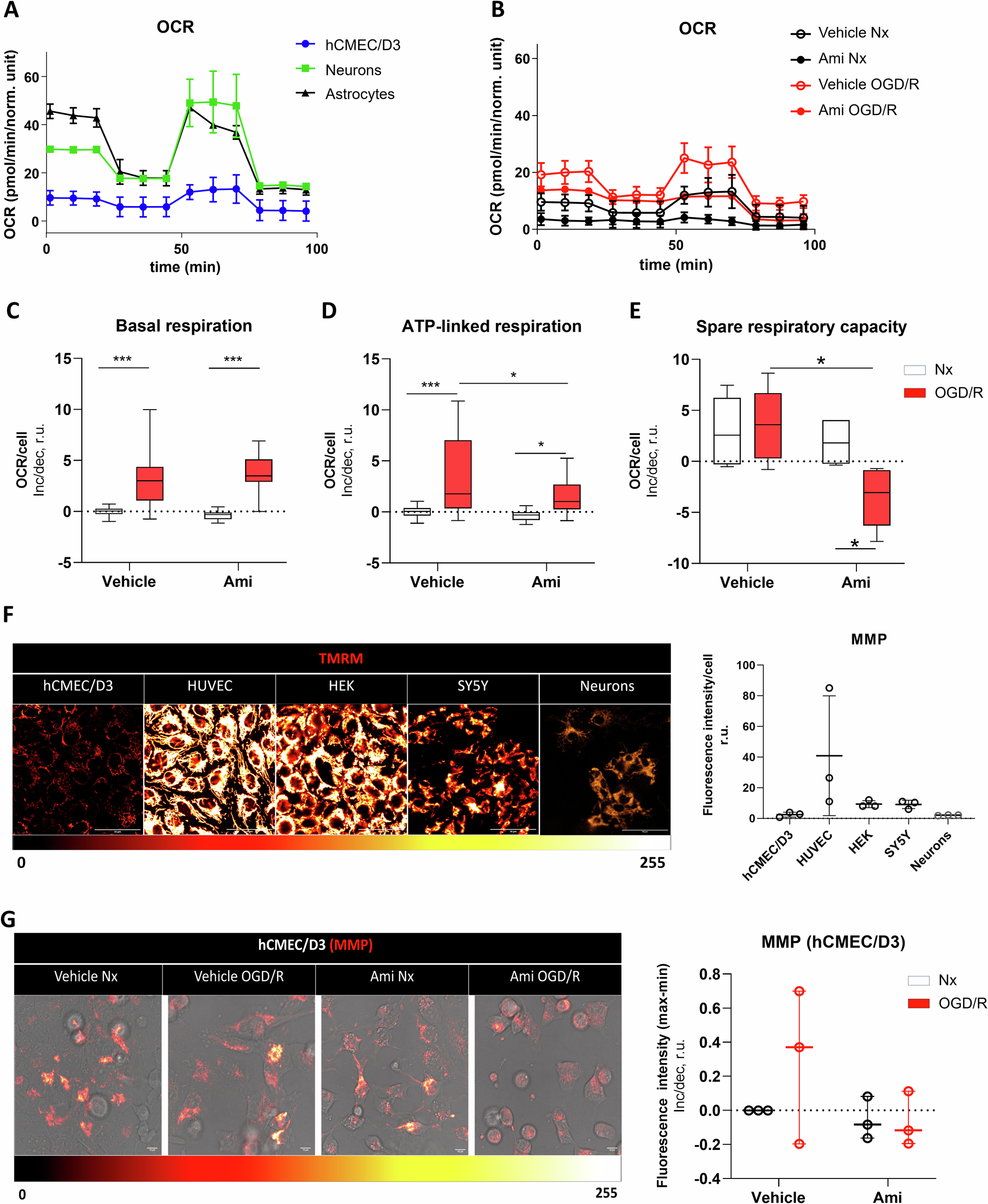 Fig. 3: Amitriptyline reduces cerebral endothelial mitochondrial energy metabolism post-I/R.