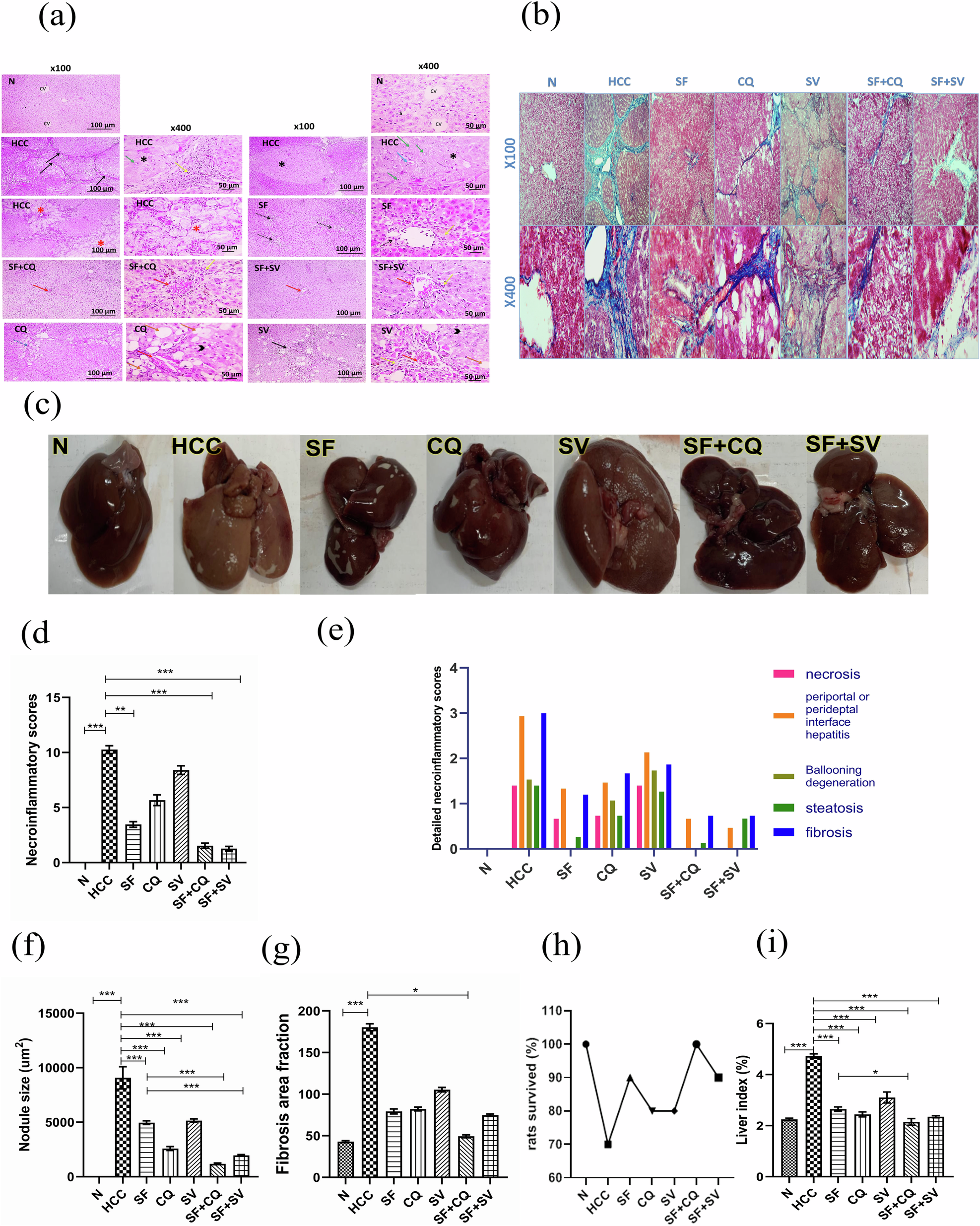 autophagy-modulation-attenuates-sorafenib-resistance-in-hcc-induced-in-rats-cell-death-disease