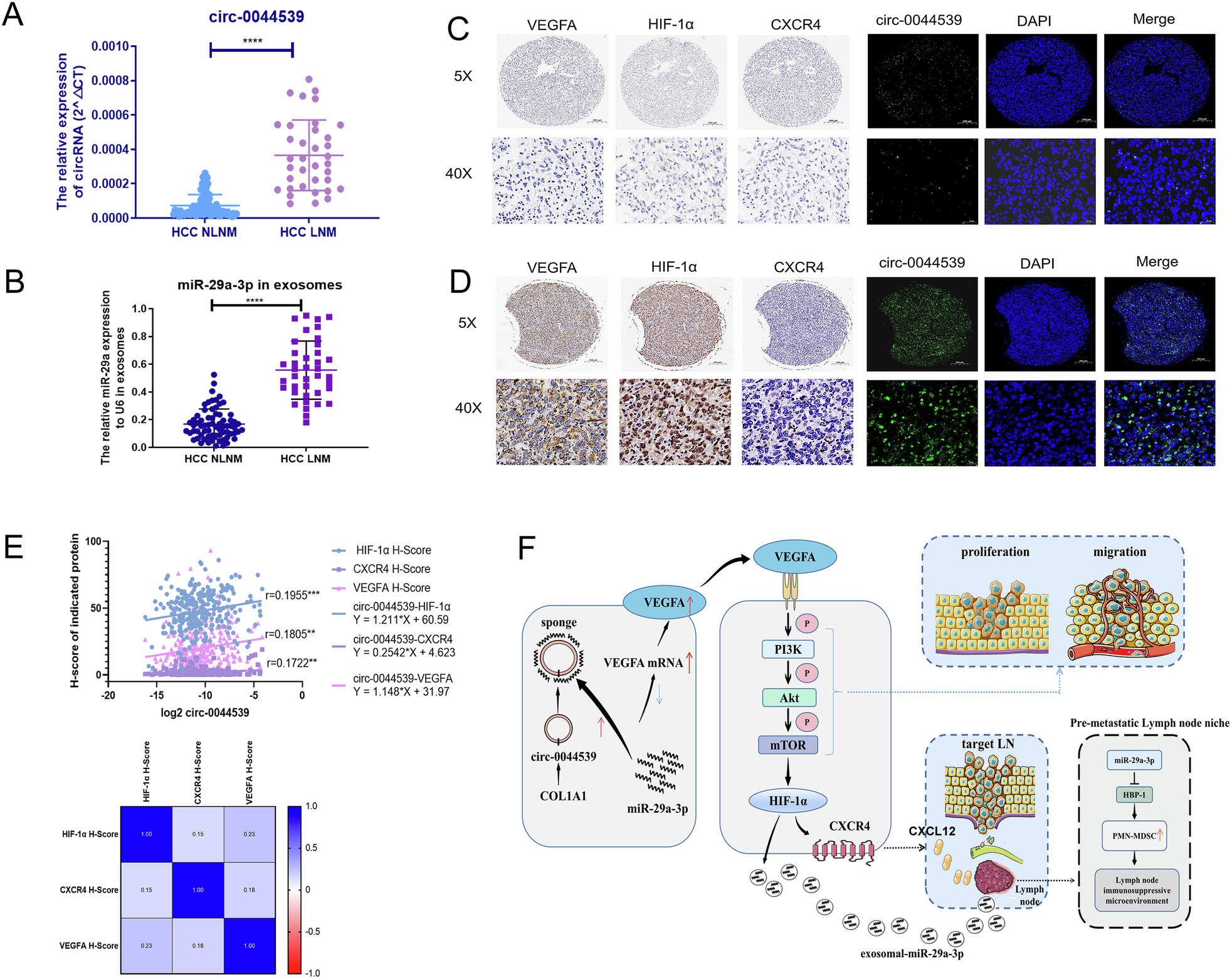 Fig. 8: Circ-0044539 serves as a novel biomarker for HCC patients with LNM.