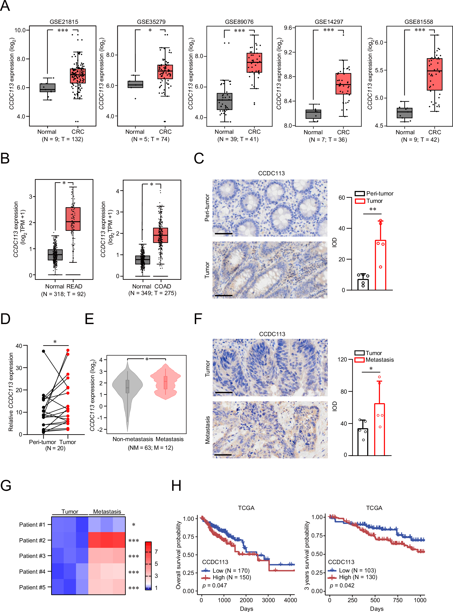 Fig. 2: CCDC113 is upregulated in CRC.