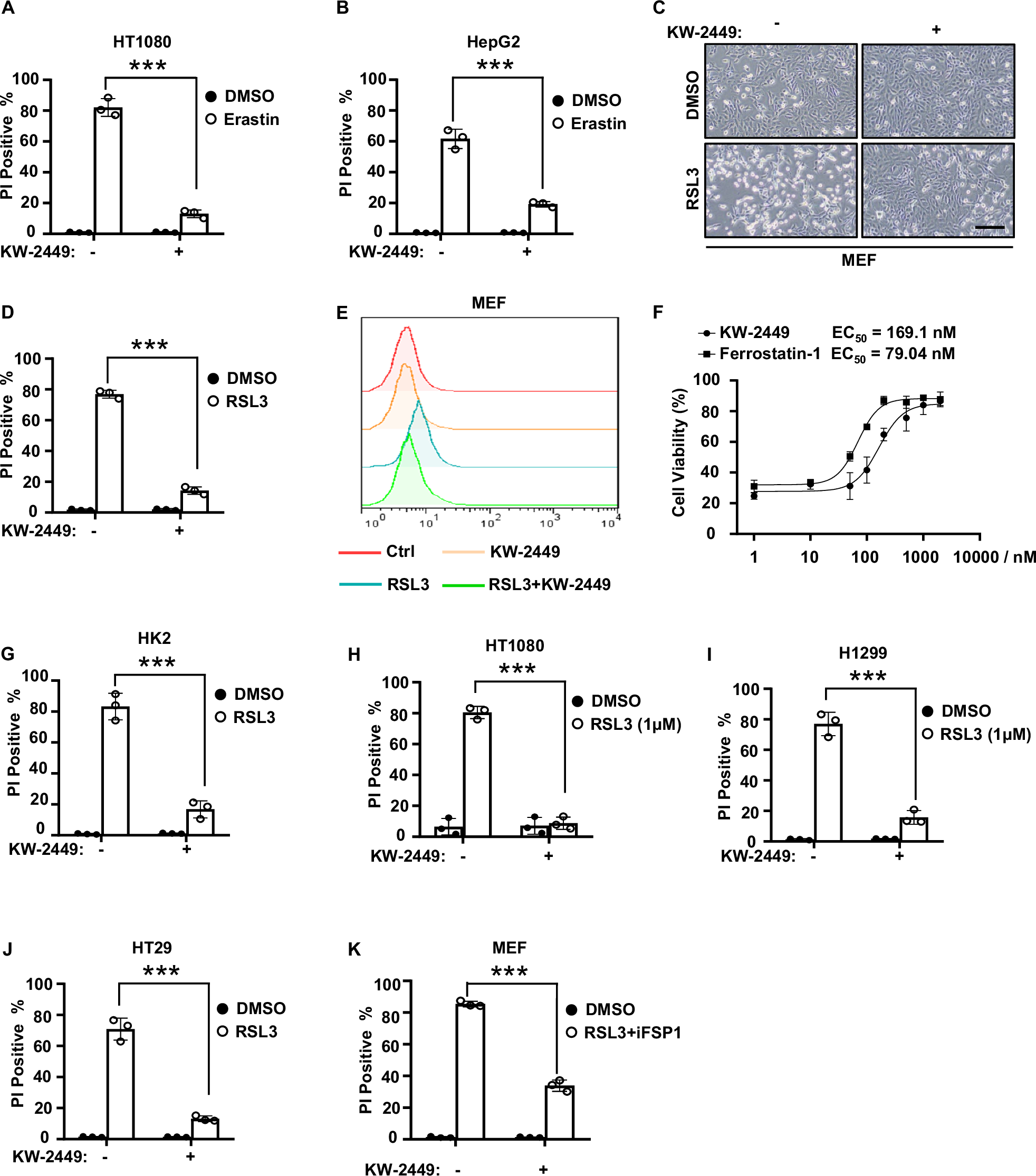 Fig. 2: KW-2449 inhibits cell death in multiple cellular models of ferroptosis.