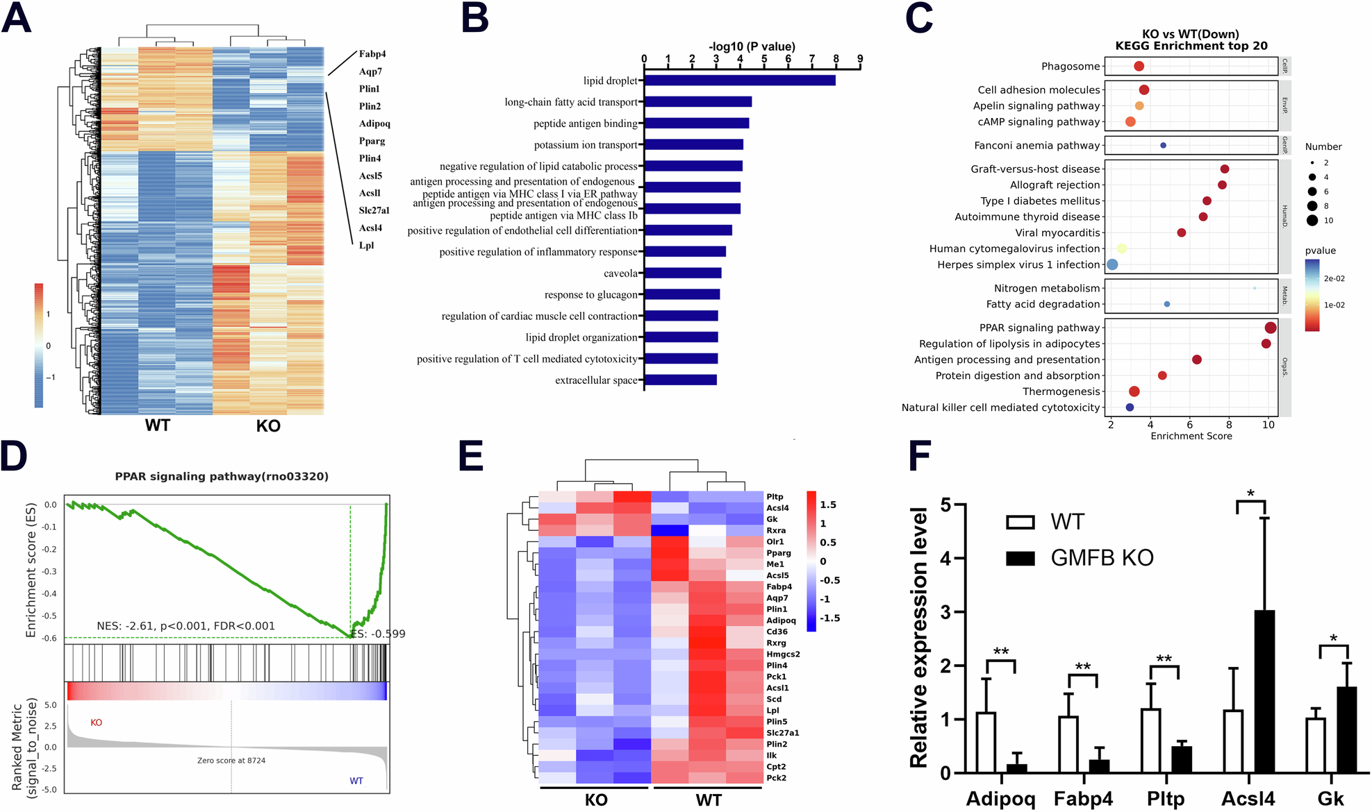 Fig. 4: GMFB KO inhibits PPAR signaling in BMSCs.
