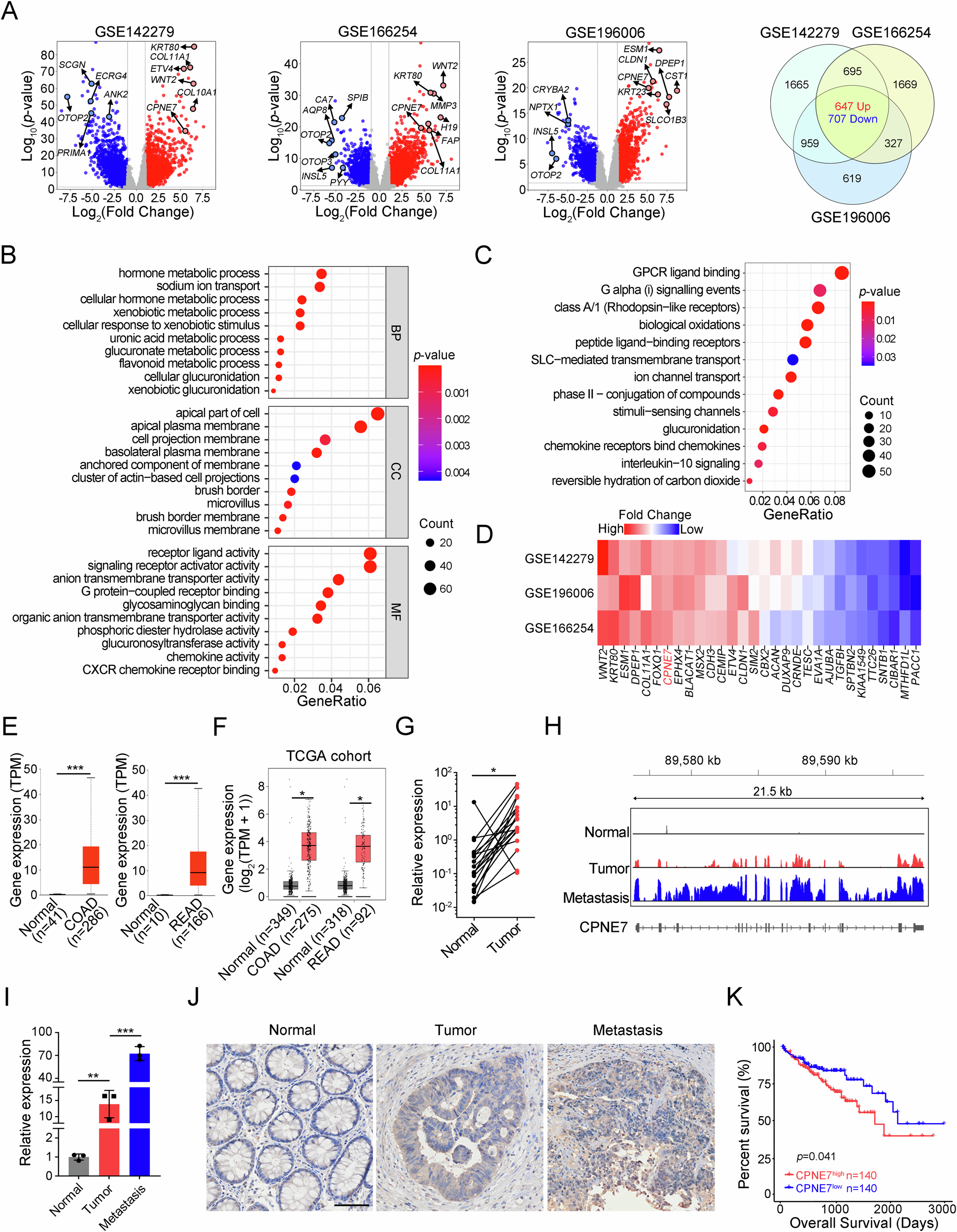 Fig. 1: CPNE7 is upregulated in CRC.