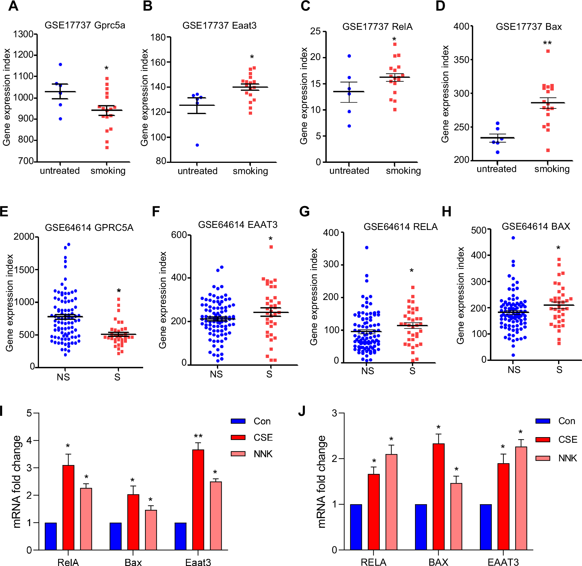 Fig. 7: The inflammation-inducing factor, smoking, increased the expression of EAAT3.