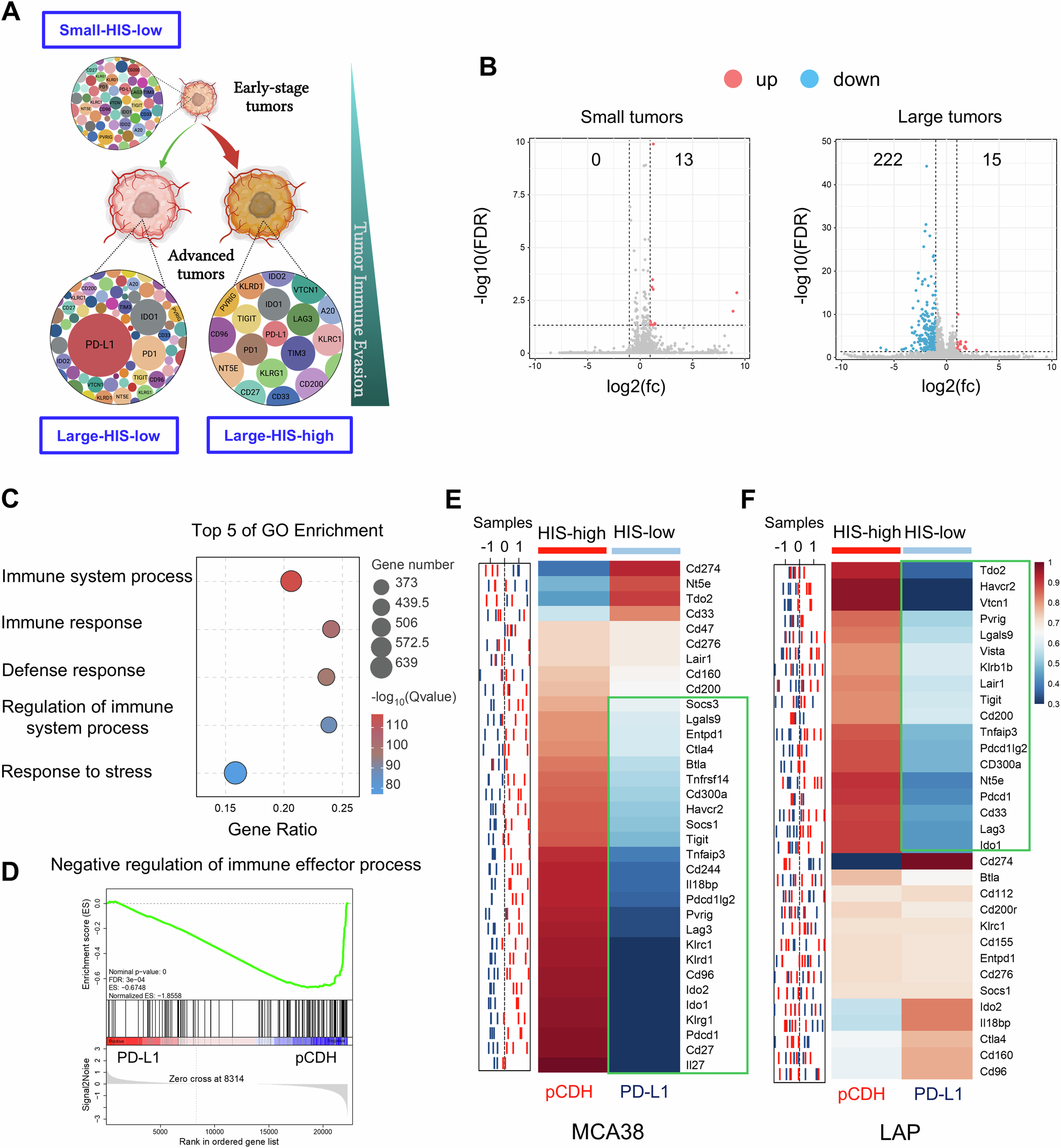 Fig. 2: PD-L1 high-expression reduced HIS with tumor progression.