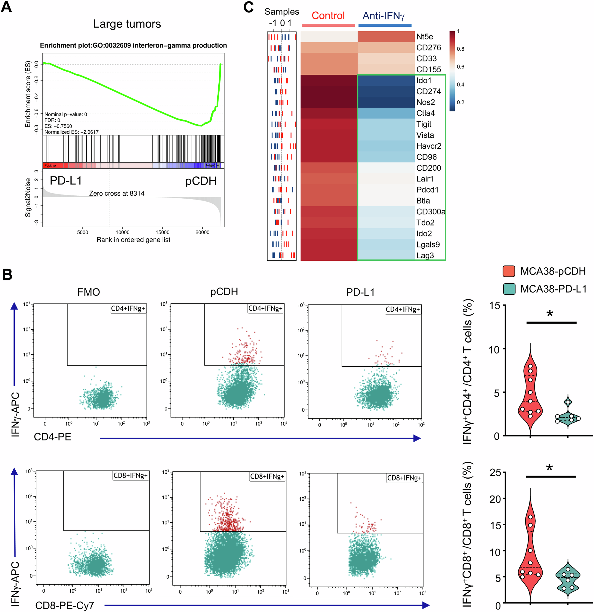 Fig. 3: Overexpressing PD-L1 reduced IFNγ production, resulting in decreased HIS in baseline large tumors.