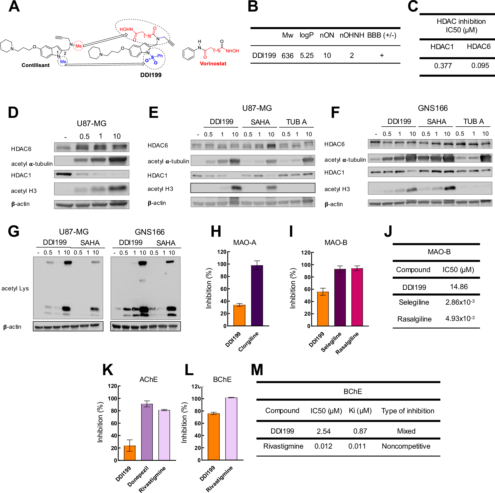 Fig. 2: Novel DDI199 compound inhibits target genes.