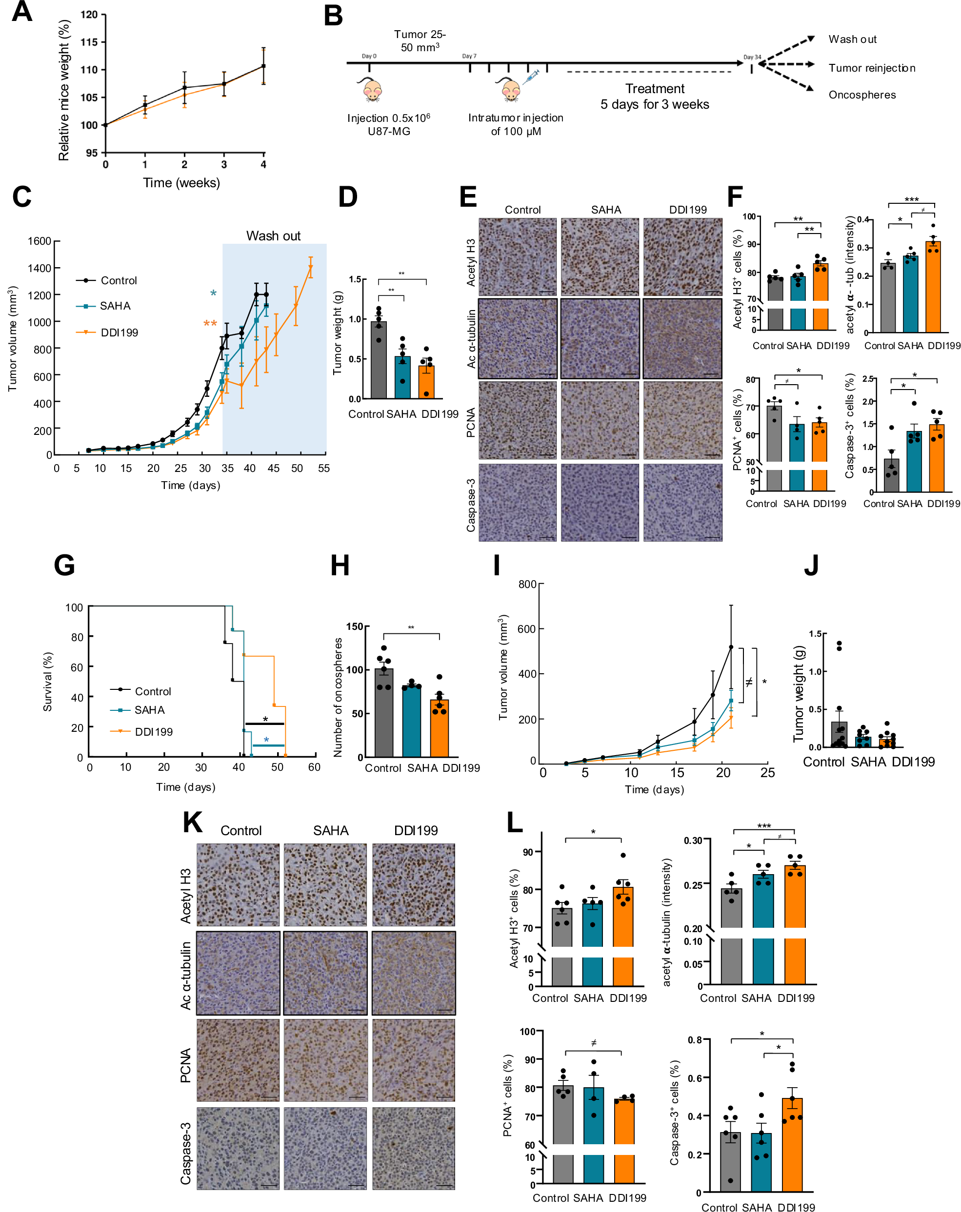 Fig. 5: DDI199 reduces tumor growth in vivo.