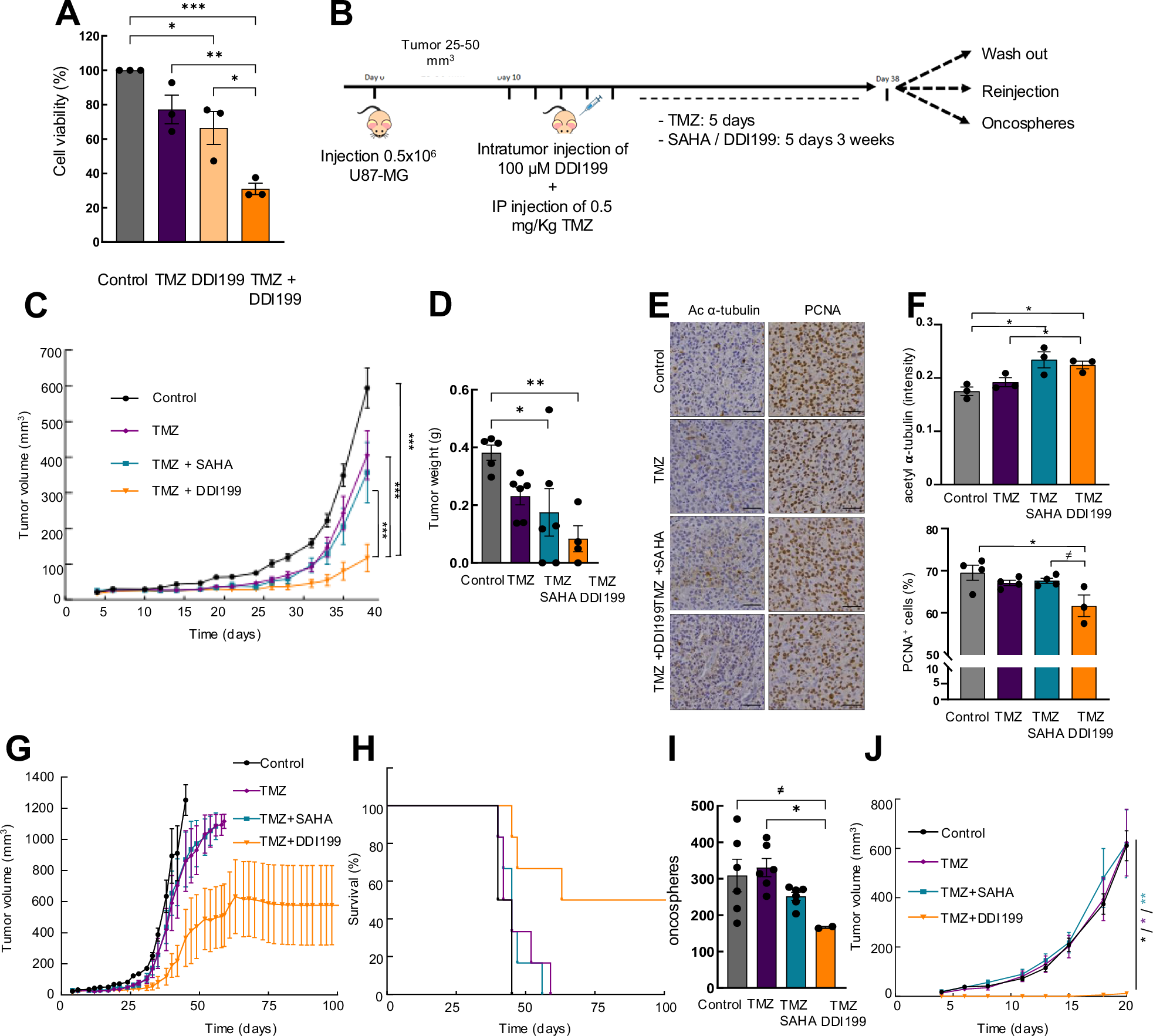 Fig. 6: Combined treatment of DDI199 and TMZ display potent anti-tumor activity.