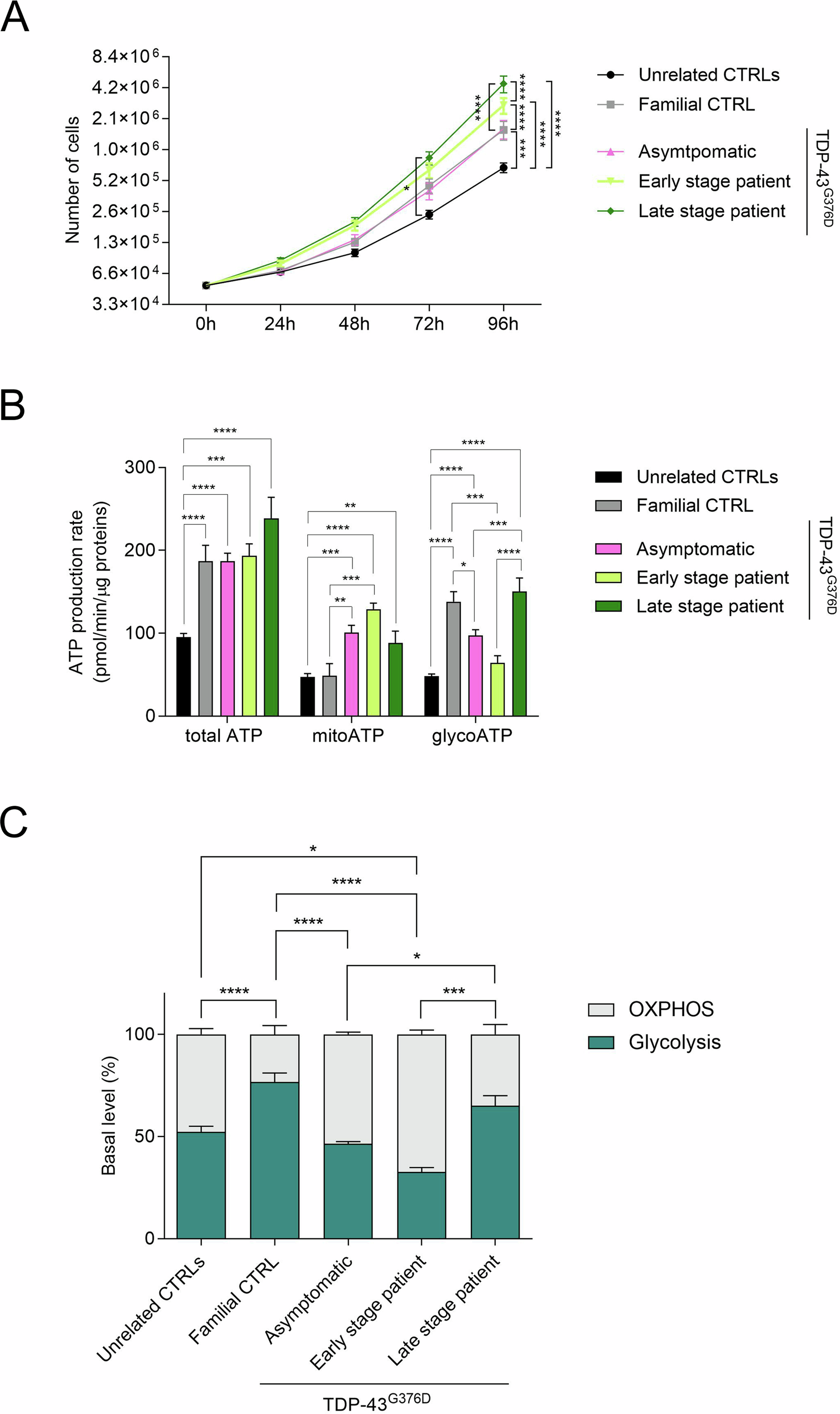 Mitochondrial and energy metabolism dysfunctions are hallmarks of  TDP-43G376D fibroblasts from members of an Amyotrophic Lateral Sclerosis  family | Cell Death & Disease