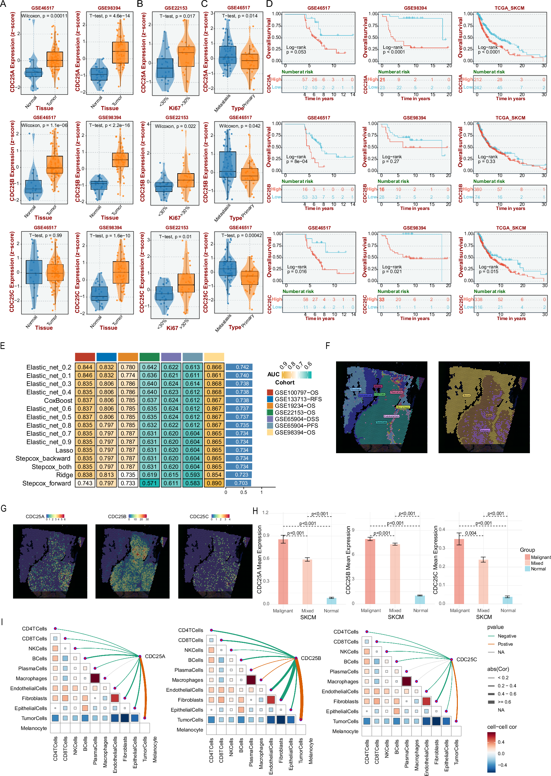 Fig. 3: The expression and clinical association analysis of CDC25 in SKCM tumor tissue.