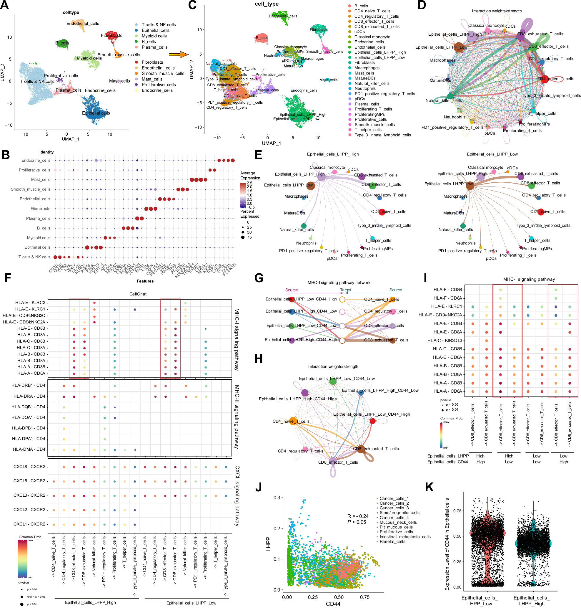 Fig. 4: Analysis of LHPP in relation to immunity and stemness in the single-cell data from our center’s neoadjuvant therapy cohort.