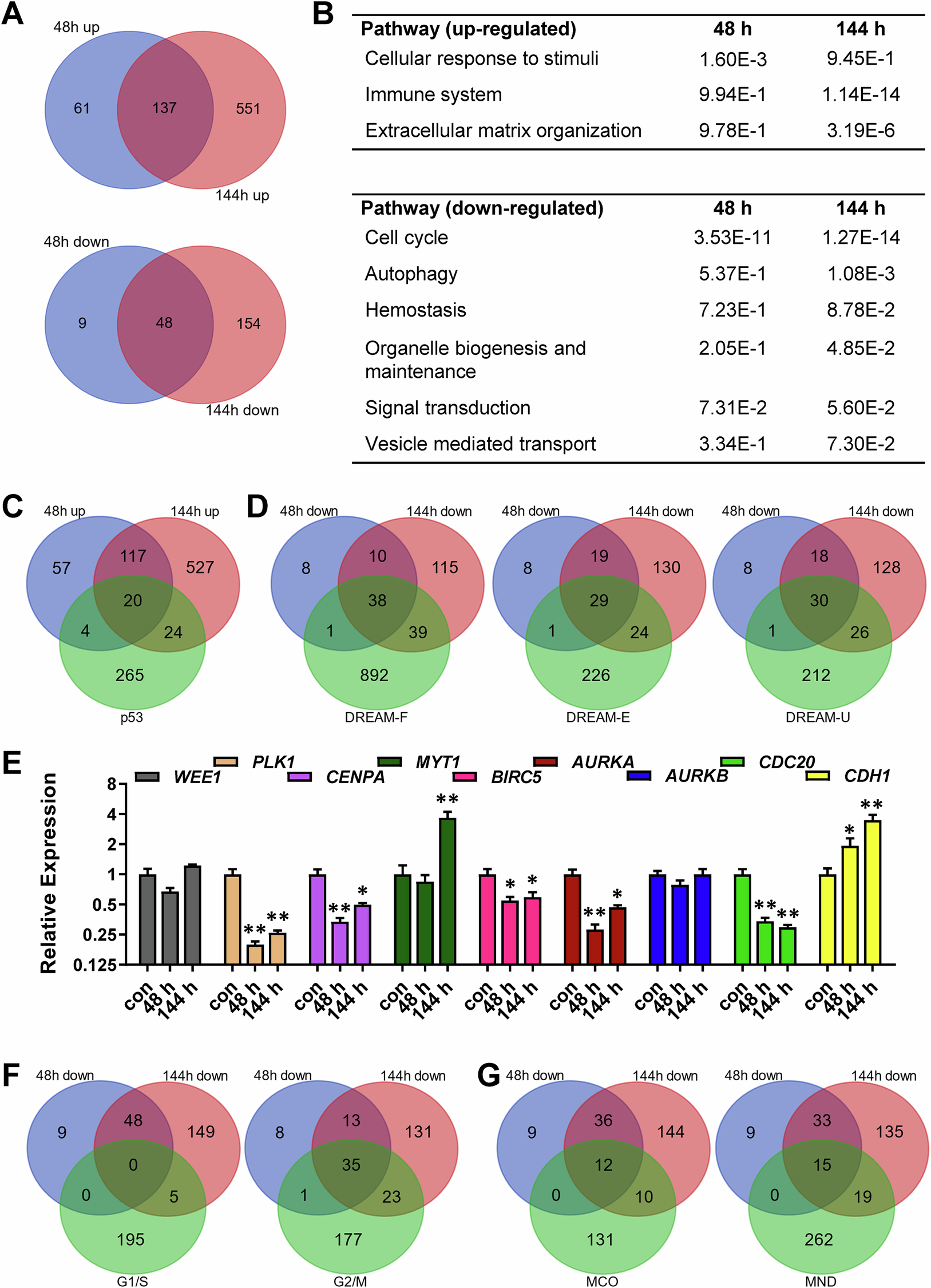 Fig. 3: Transcriptional changes upon TMZ exposure.