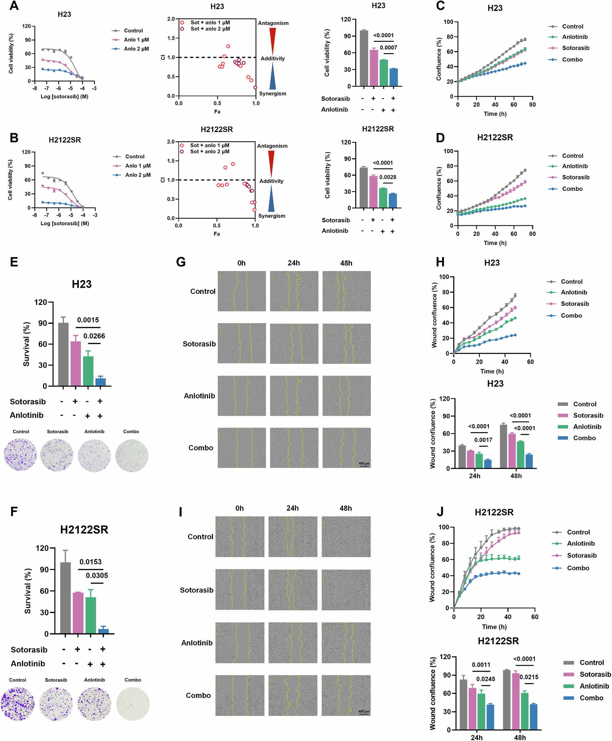 Fig. 1: Anlotinib enhances the sensitivity to KRAS-G12Ci of primary and acquired resistant cells in vitro.