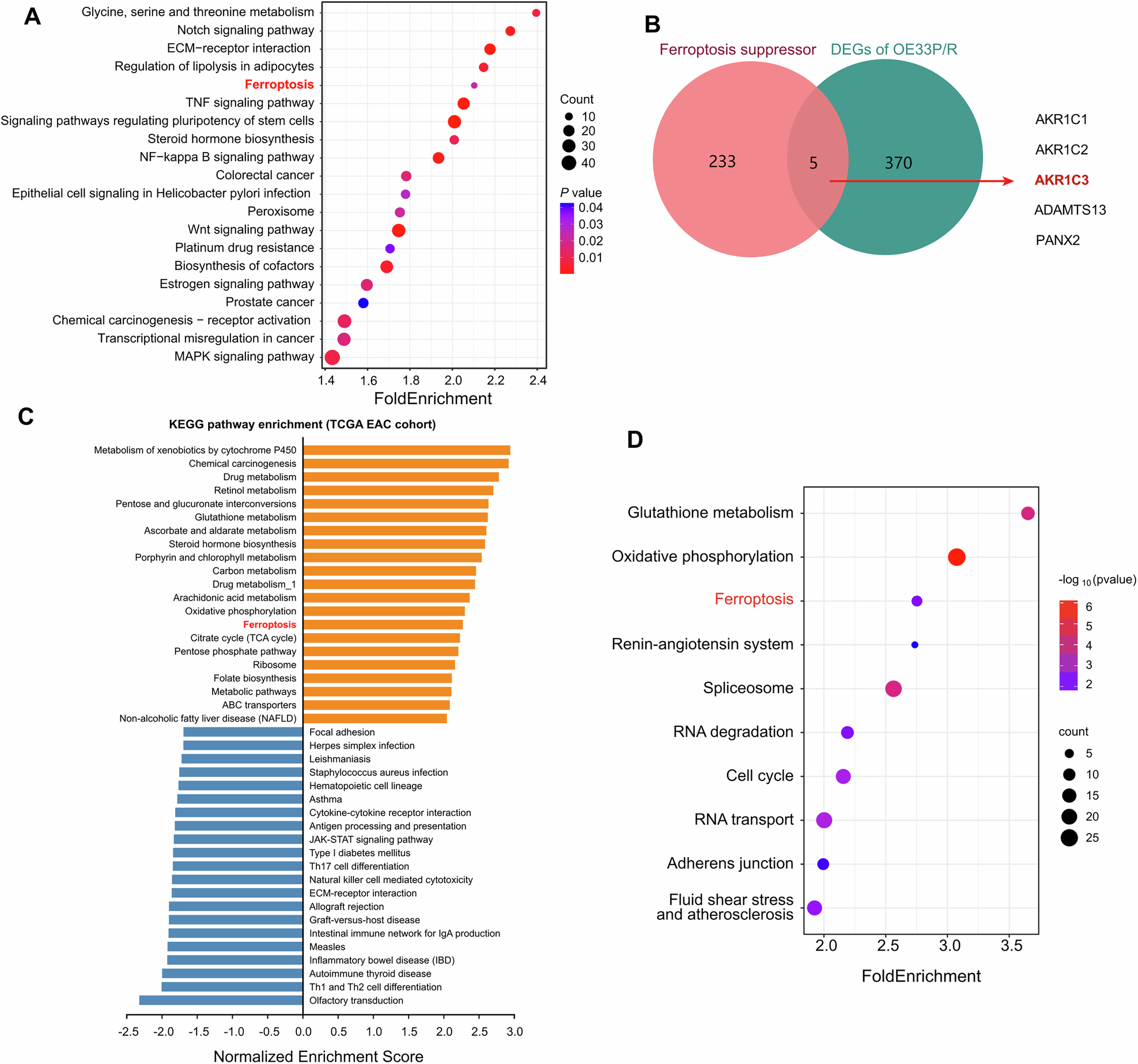 Fig. 4: AKR1C3 is associated with ferroptosis.