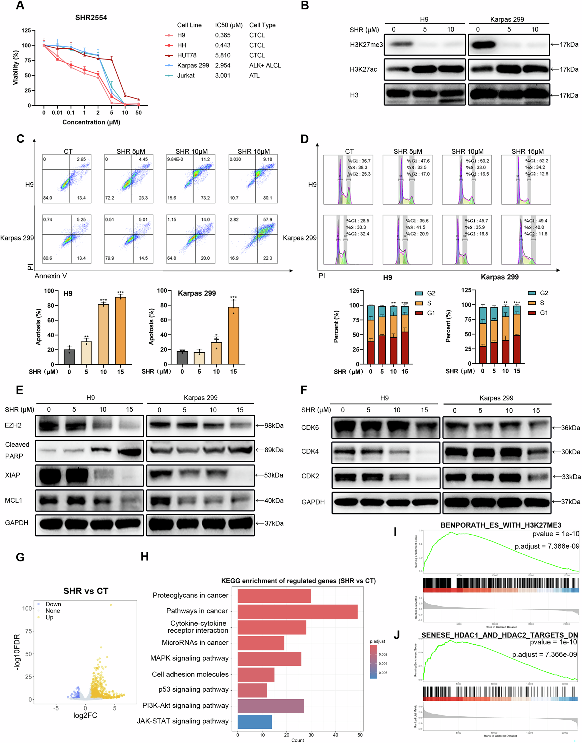 Fig. 2: The EZH2 inhibitor SHR2554 mediates therapeutic effects in TCL by reducing H3K27me3 levels.