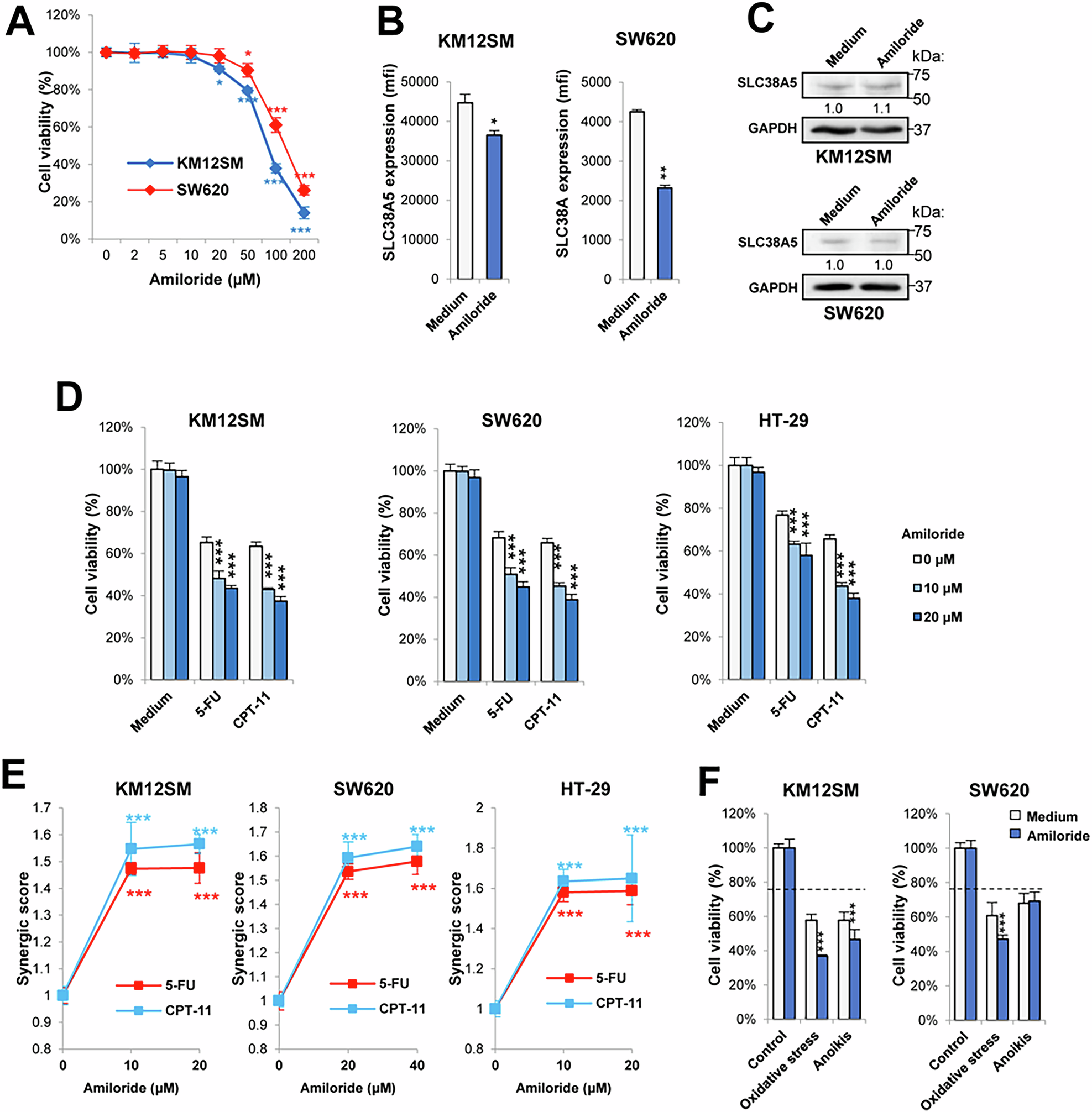 Fig. 6: Amiloride reduces drug resistance in colon cancer cells.