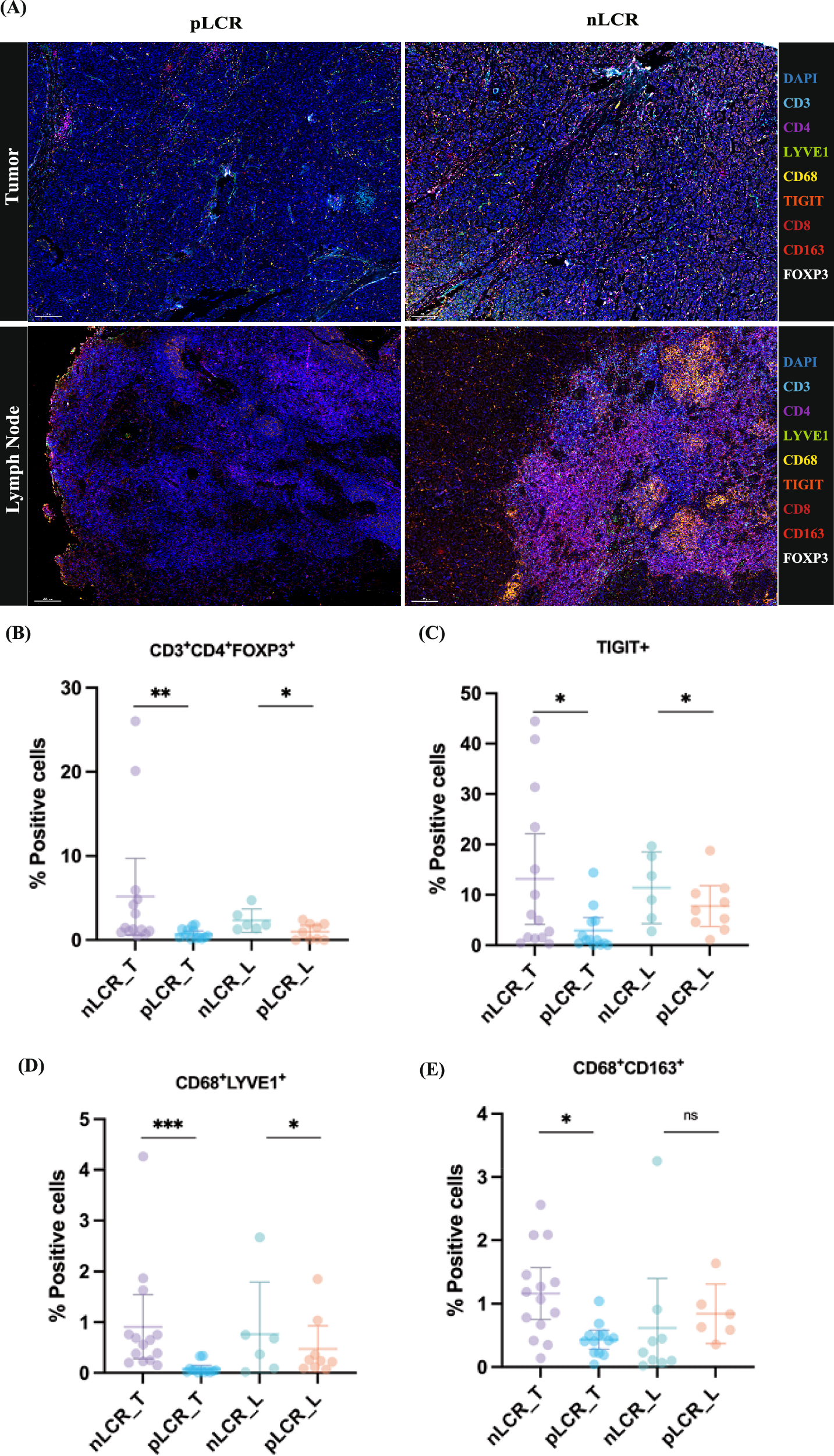 Fig. 7: Validation of the immune microenvironment in patients with differing axillary responses using multiplex immunofluorescence.