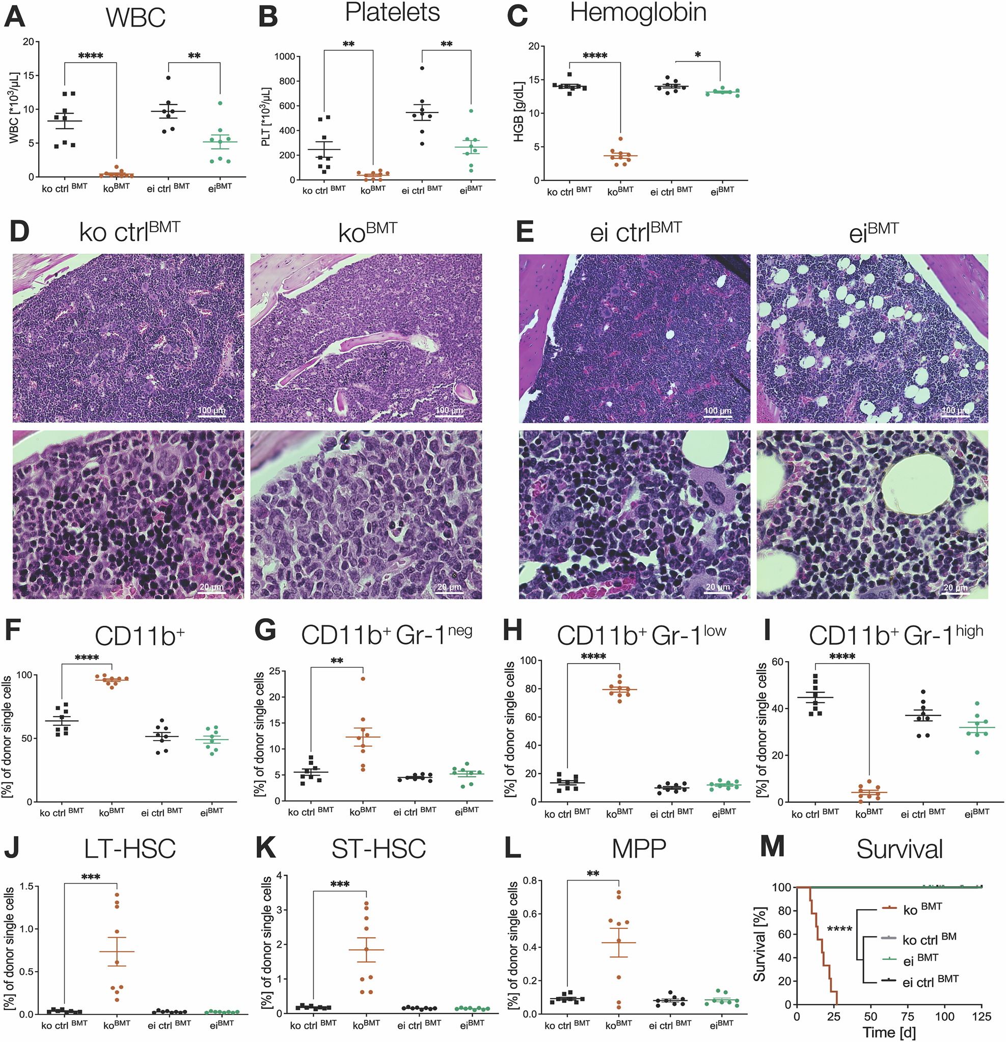 Fig. 2: Hematopoiesis-specific Lsd1 knockout displays shorter survival, pancytopenia, increased hematopoietic stem and progenitor cells, and myeloid cells in the bone marrow.