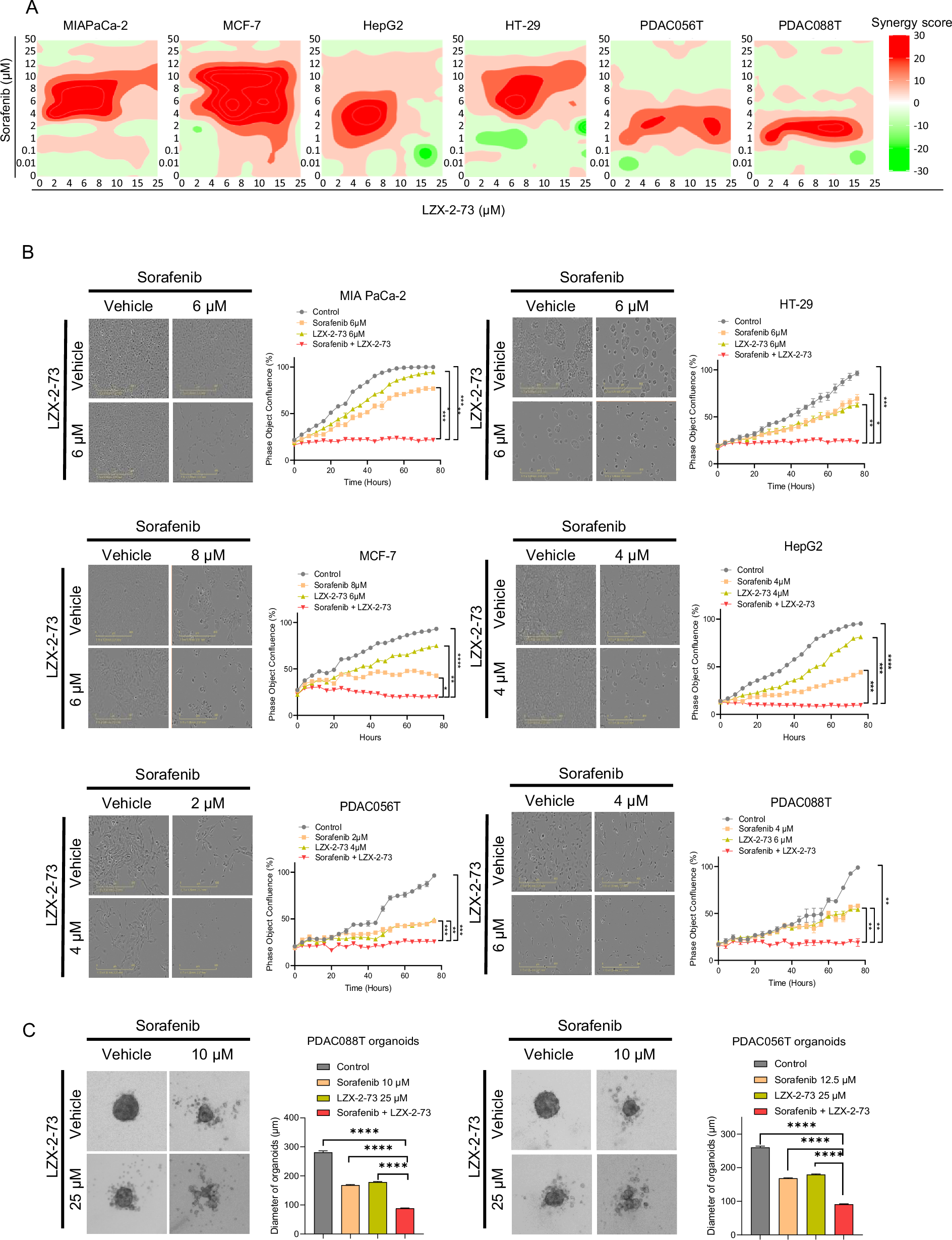 Fig. 1: LZX-2-73 and sorafenib combination showed a synergistic anticancer effect.