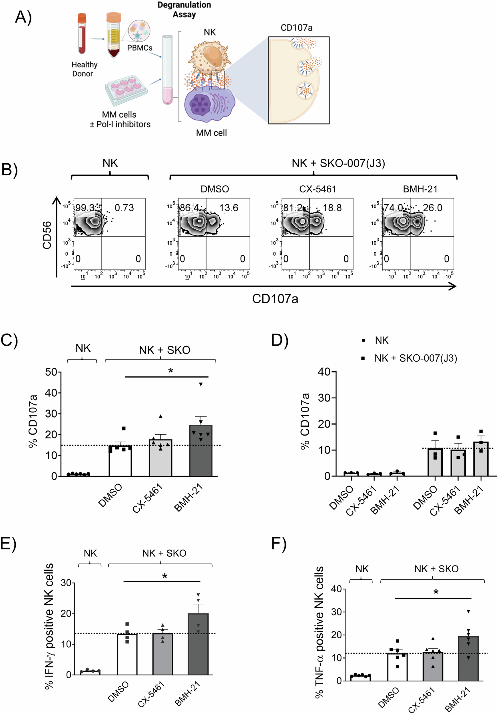 Fig. 3: Functional analysis of NK cell degranulation and cytokine expression following RNA Pol I inhibition in MM target cells.