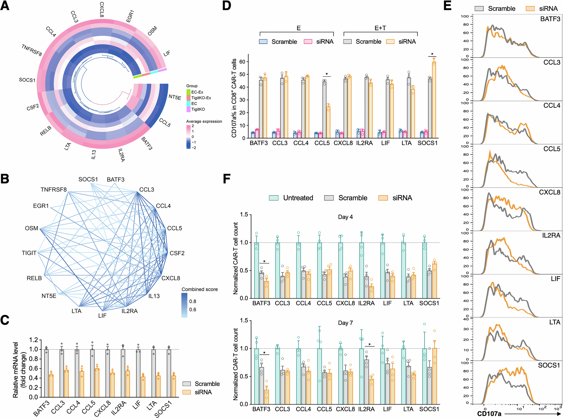 Fig. 8: Preliminary functional validation of TIGIT downstream molecules.