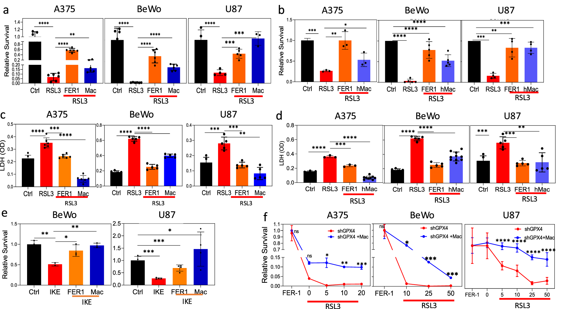 Fig. 1: Macrophages rescue cells from ferroptotic death.