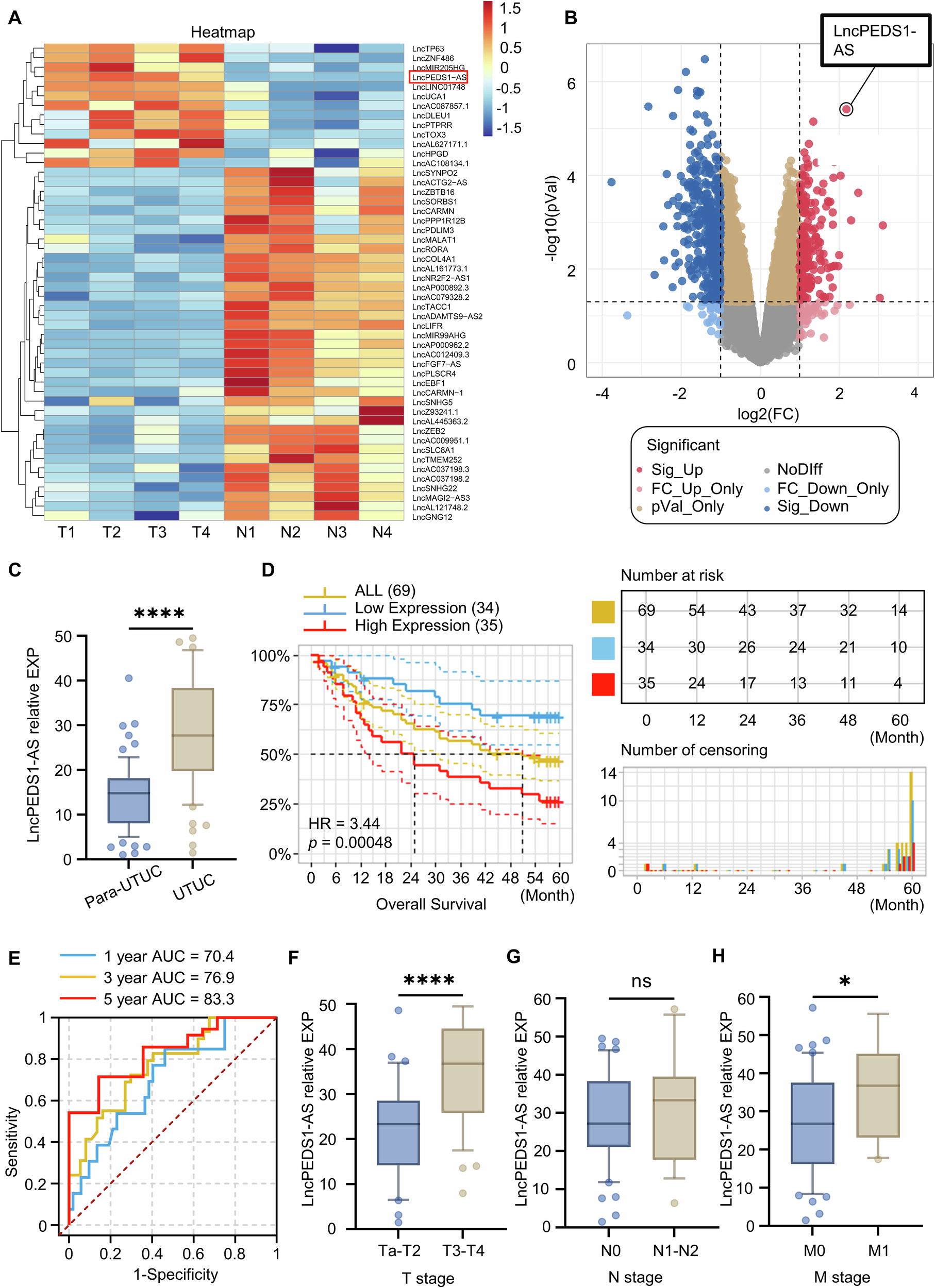 Fig. 1: LncPEDS1-AS is highly expressed in UTUC and is associated with poor prognosis in UTUC patients.