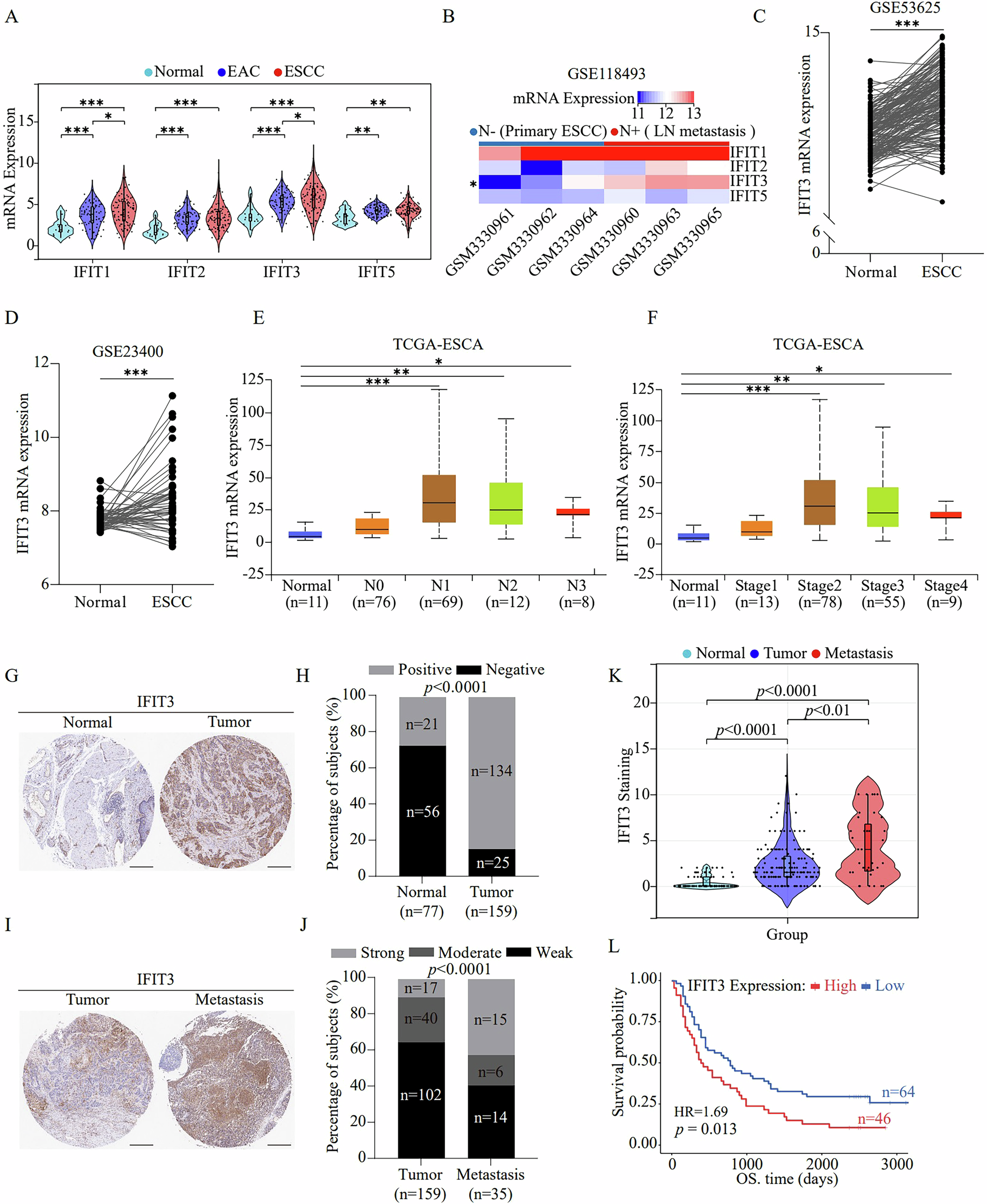 Fig. 1: IFIT3 is expressed at high levels in ESCC and LNM tissues and is correlated with dismal prognosis in ESCC patients.