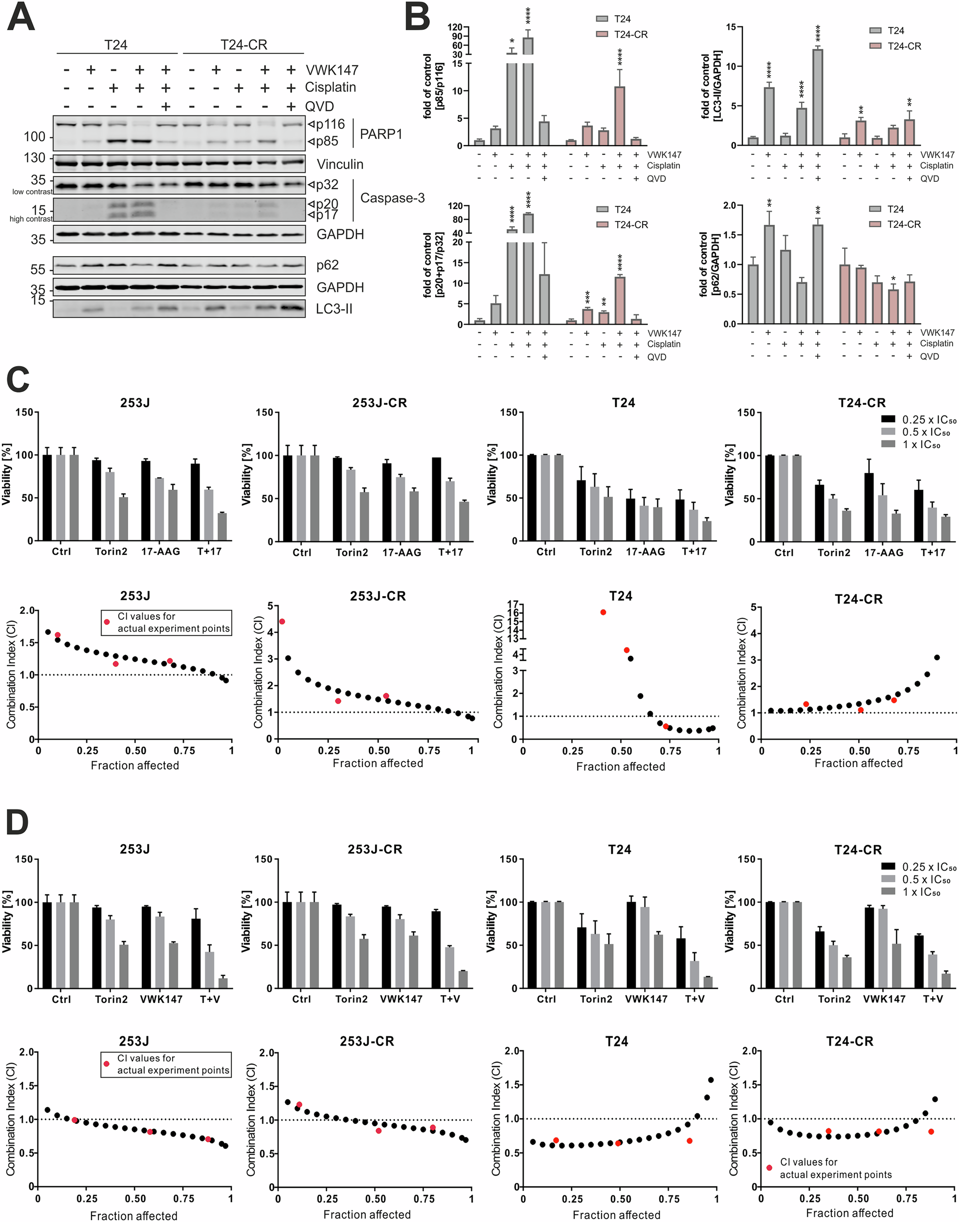 Fig. 5: VWK147 sensitizes T24-CR cells to cisplatin-induced apoptosis and acts synergistically with mTOR inhibition.
