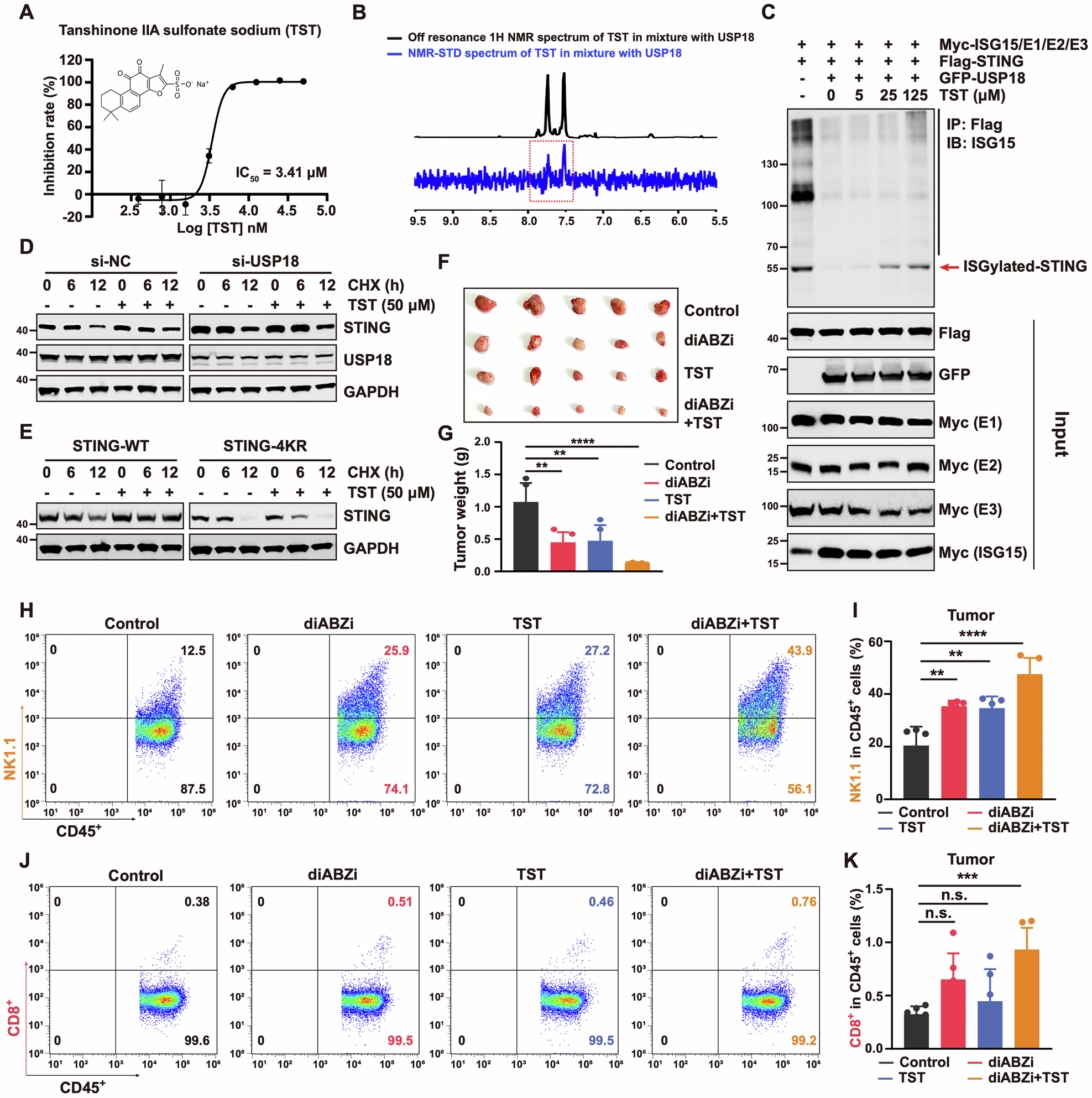 Fig. 6: Targeting USP18-mediated STING deISGylation as a therapeutic strategy for lung cancer.