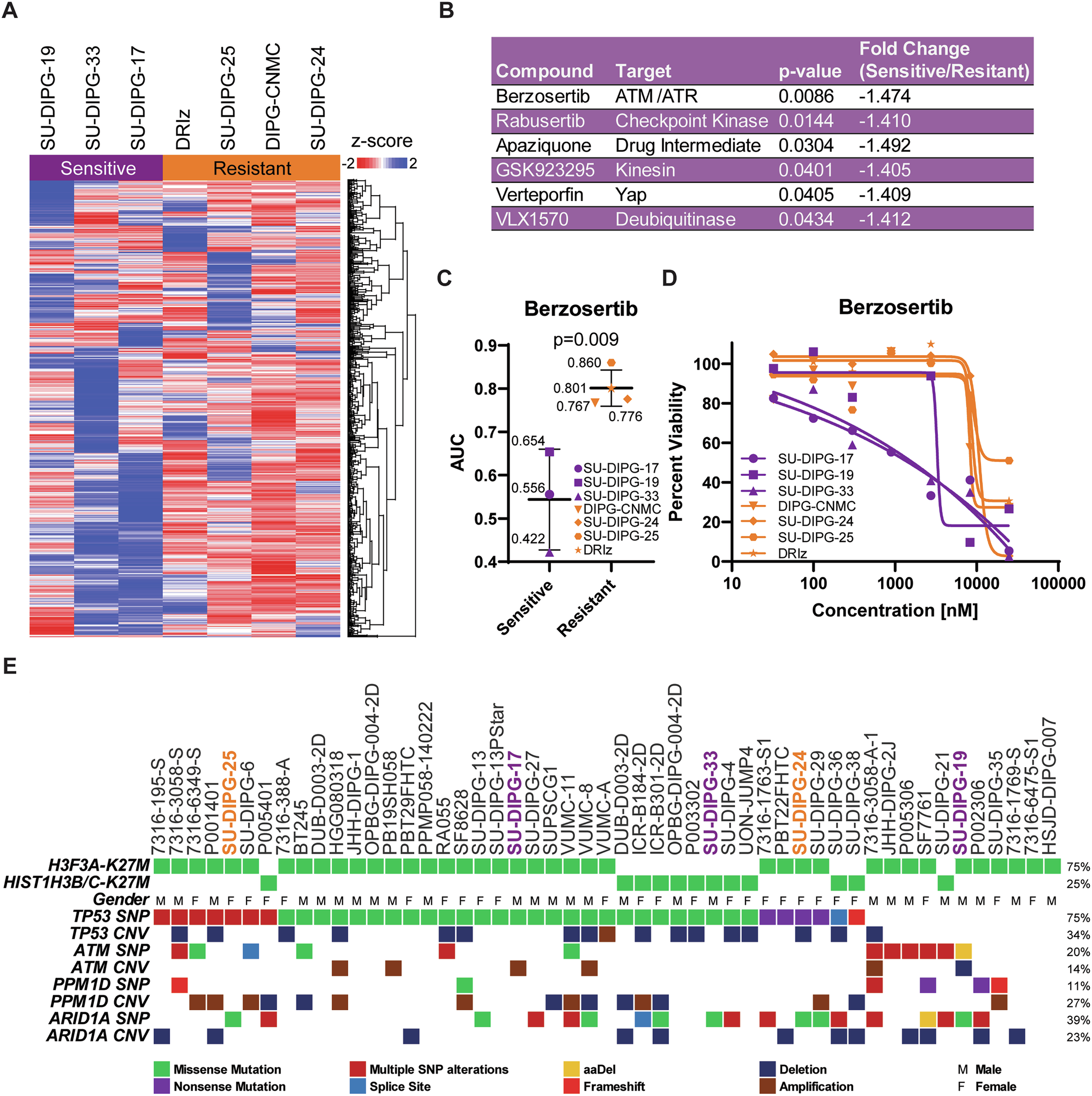 Fig. 1: High-throughput screening identified enhanced antineoplastic effects of radiotherapy in combination with the ATR inhibitor berzosertib in DMG models in vitro.
