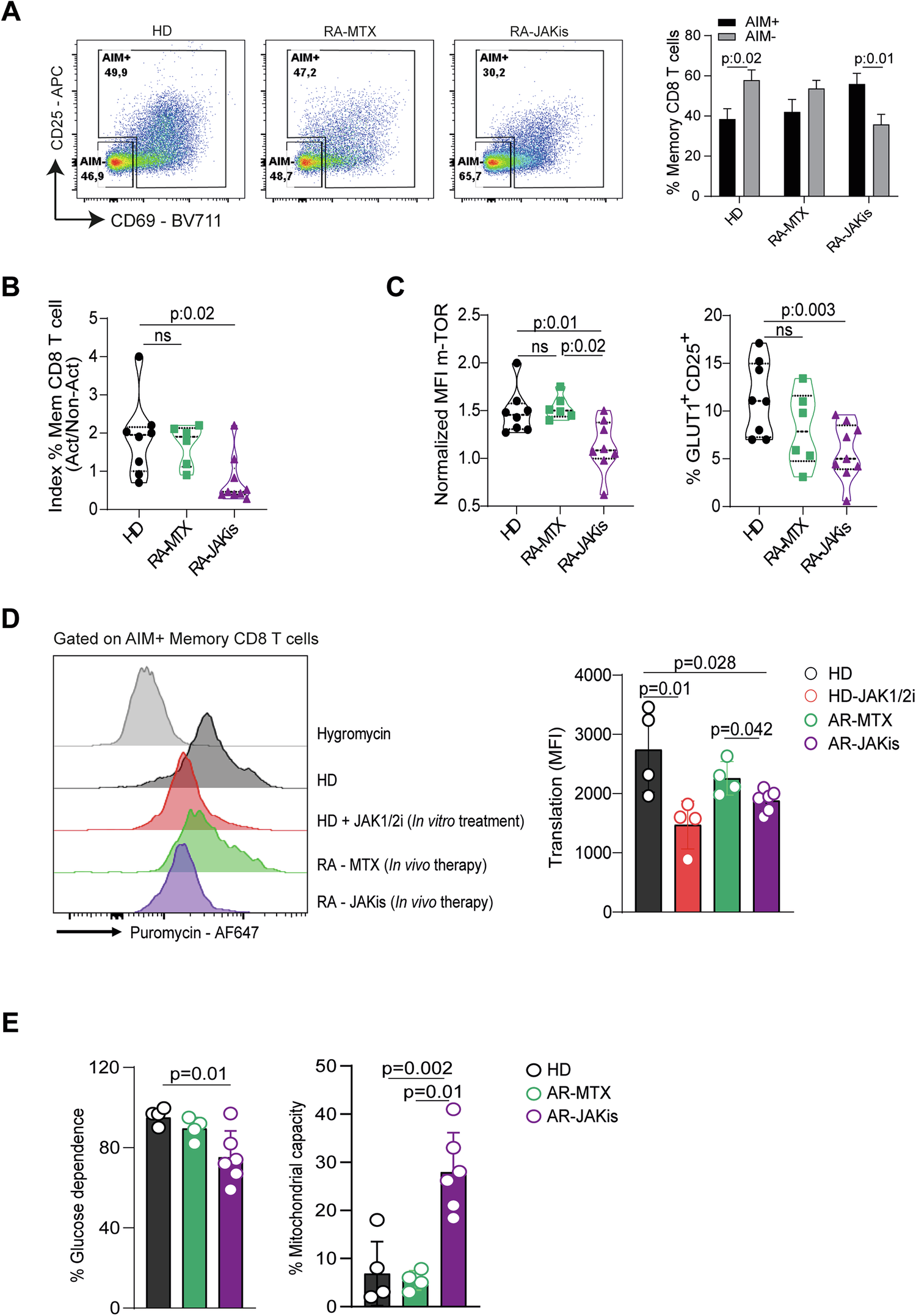 Fig. 6: JAK inhibition in RA patients recapitulates metabolic and translational defects in memory CD8 T cells.