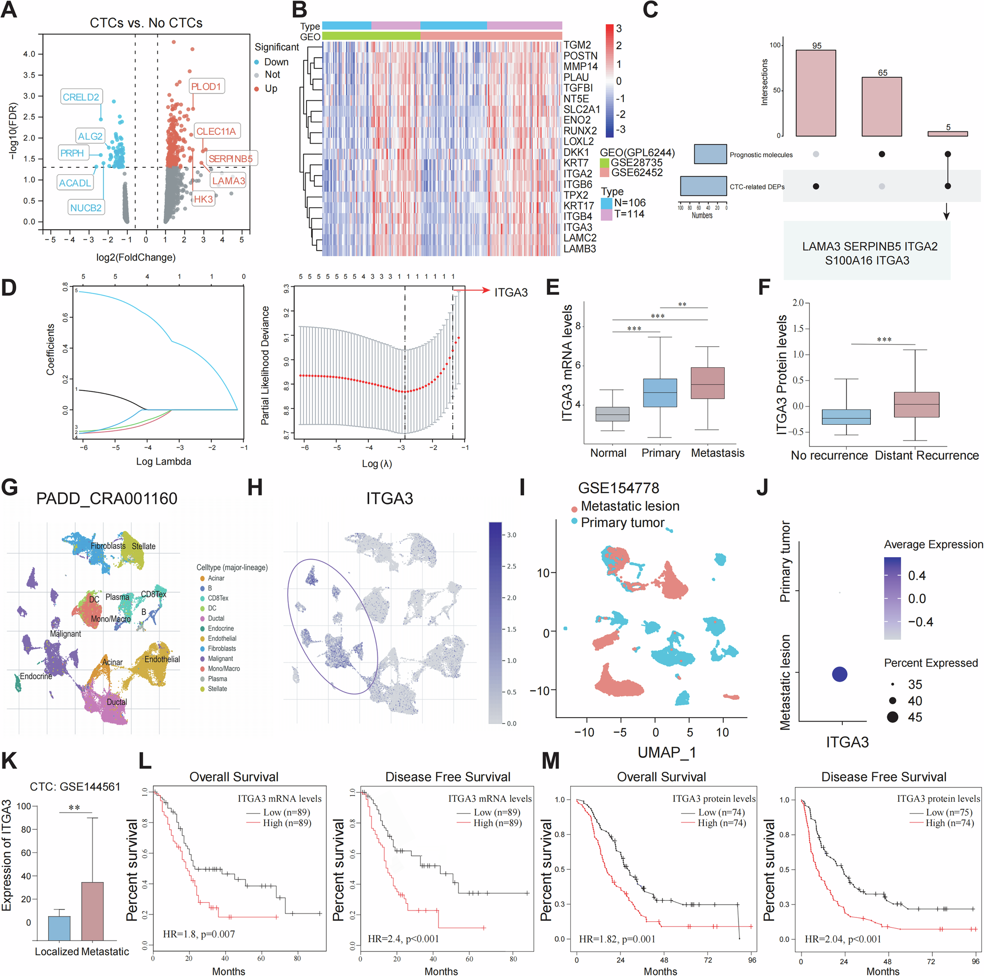 Fig. 1: The Identification of ITGA3 as a potential regulator of CTCs Formation and Metastasis in PDAC.