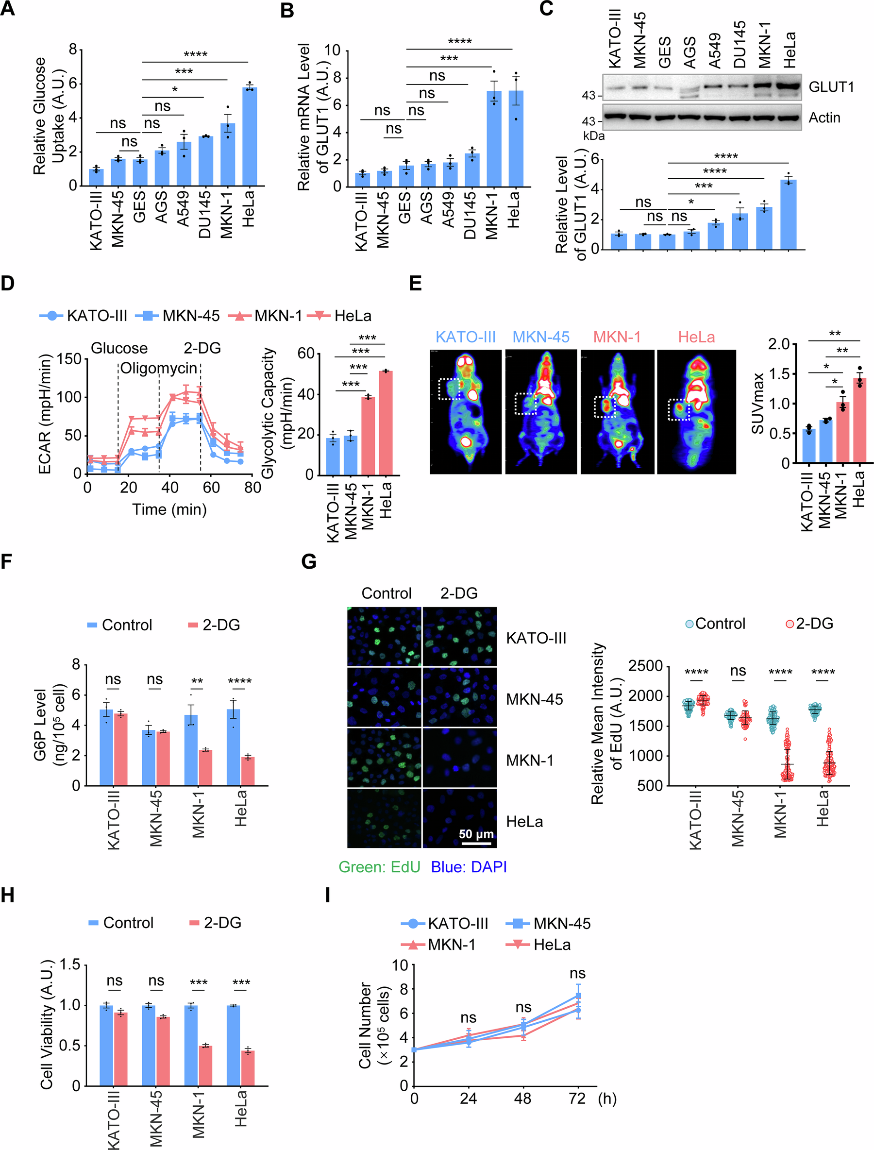 Fig. 1: The 18F-FDG-PET/CT-negative gastric cancer remodels metabolism beyond aerobic glycolysis.