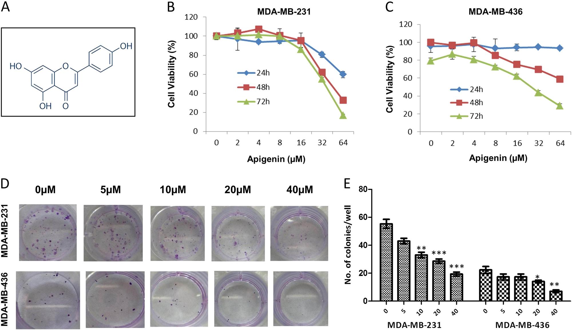 Apigenin Suppresses The Stem Cell Like Properties Of Triple Negative Breast Cancer Cells By Inhibiting Yap Taz Activity Cell Death Discovery